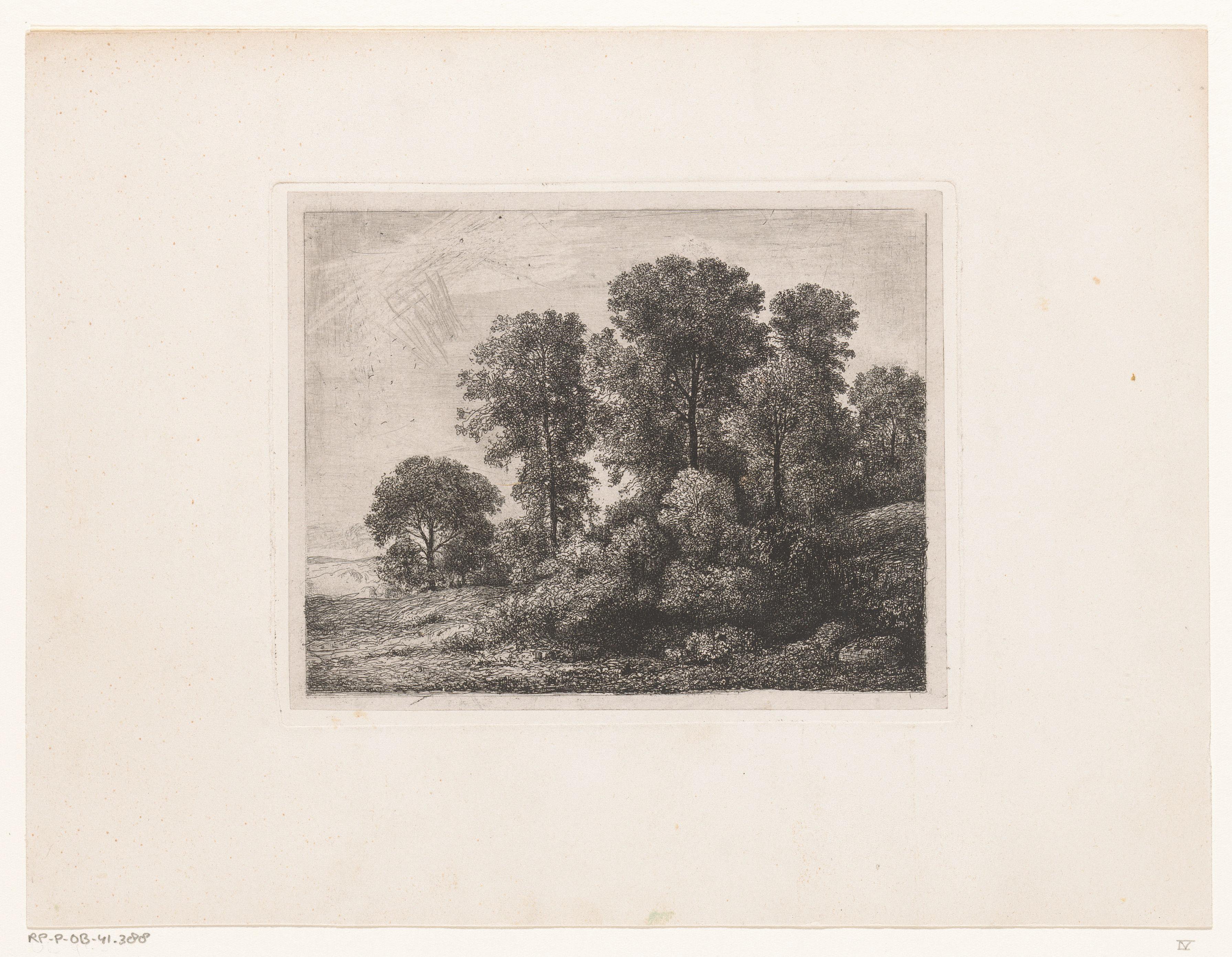 Bomen en struikgewas op een heuvel
