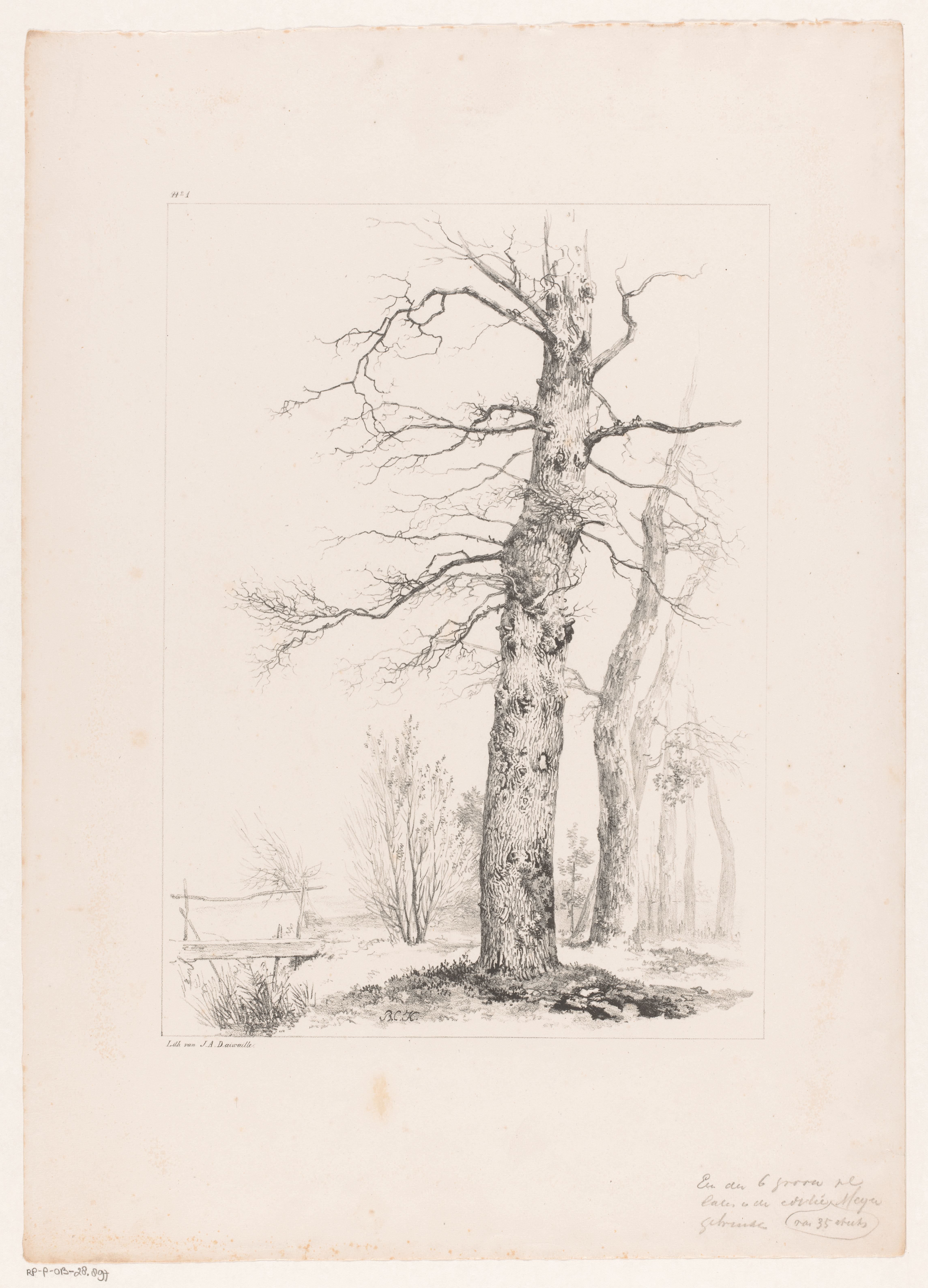 Bomen en brug in landschap