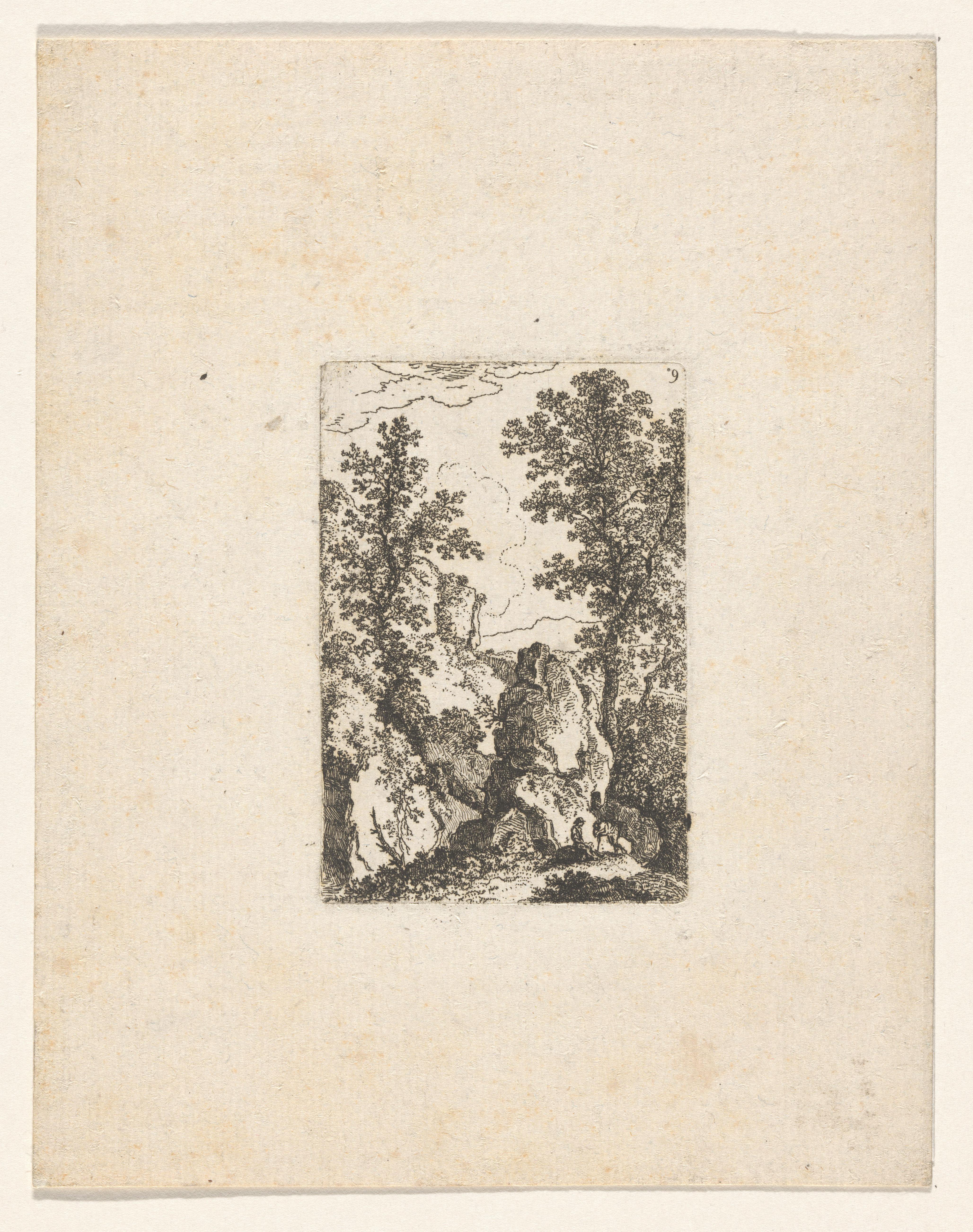 Landschap met rotsen