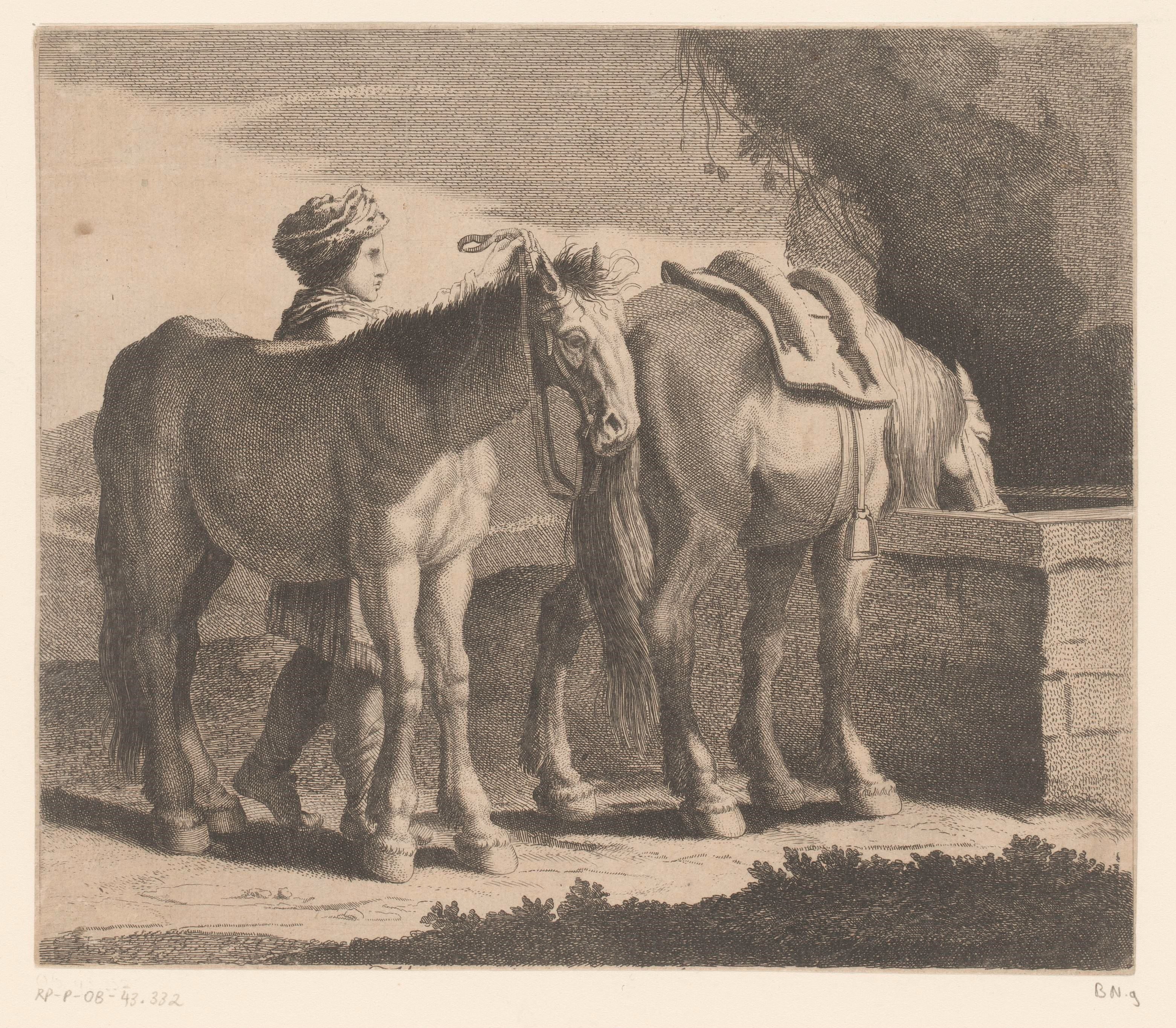Drinkende paarden