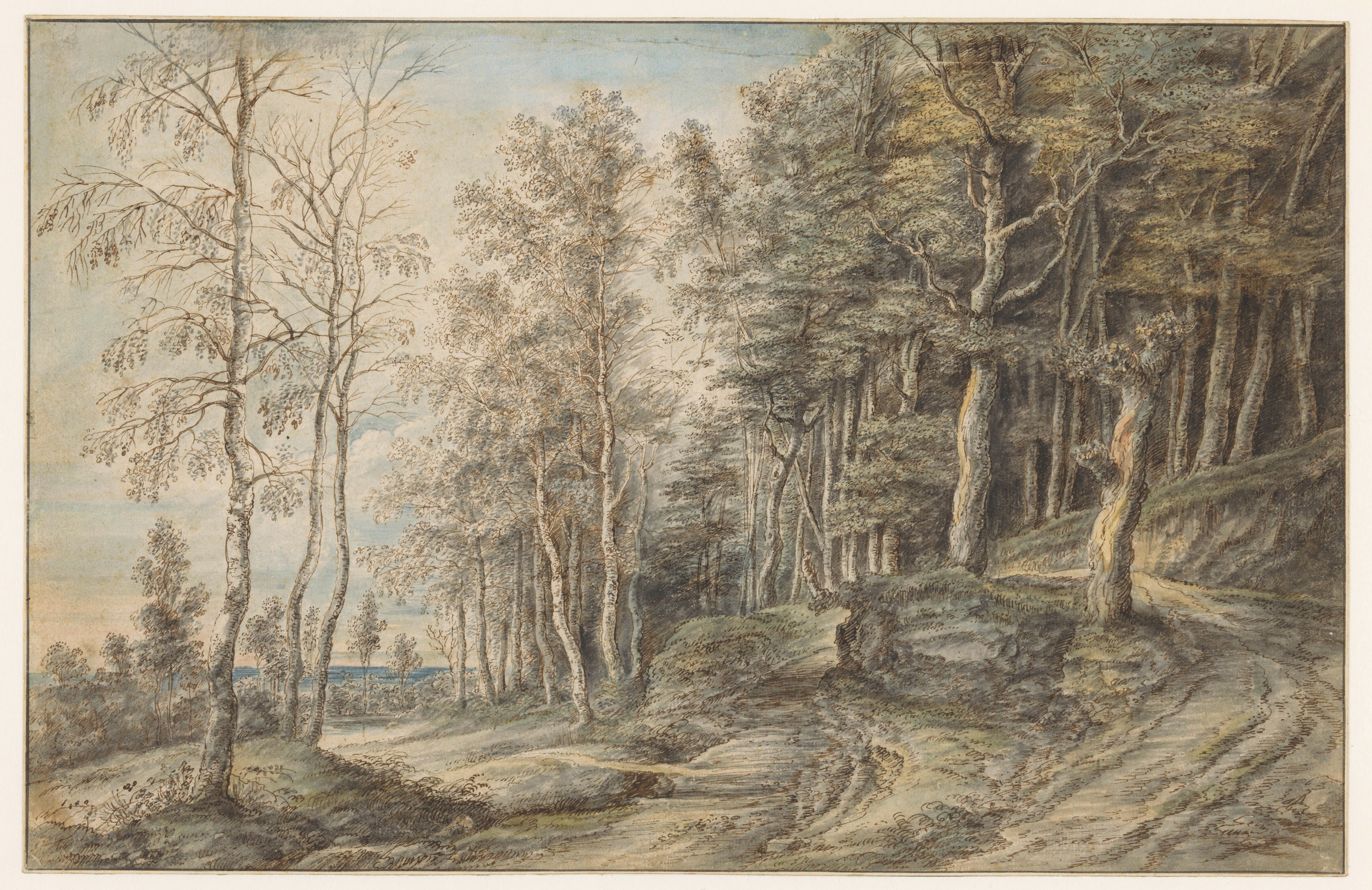 Boslandschap