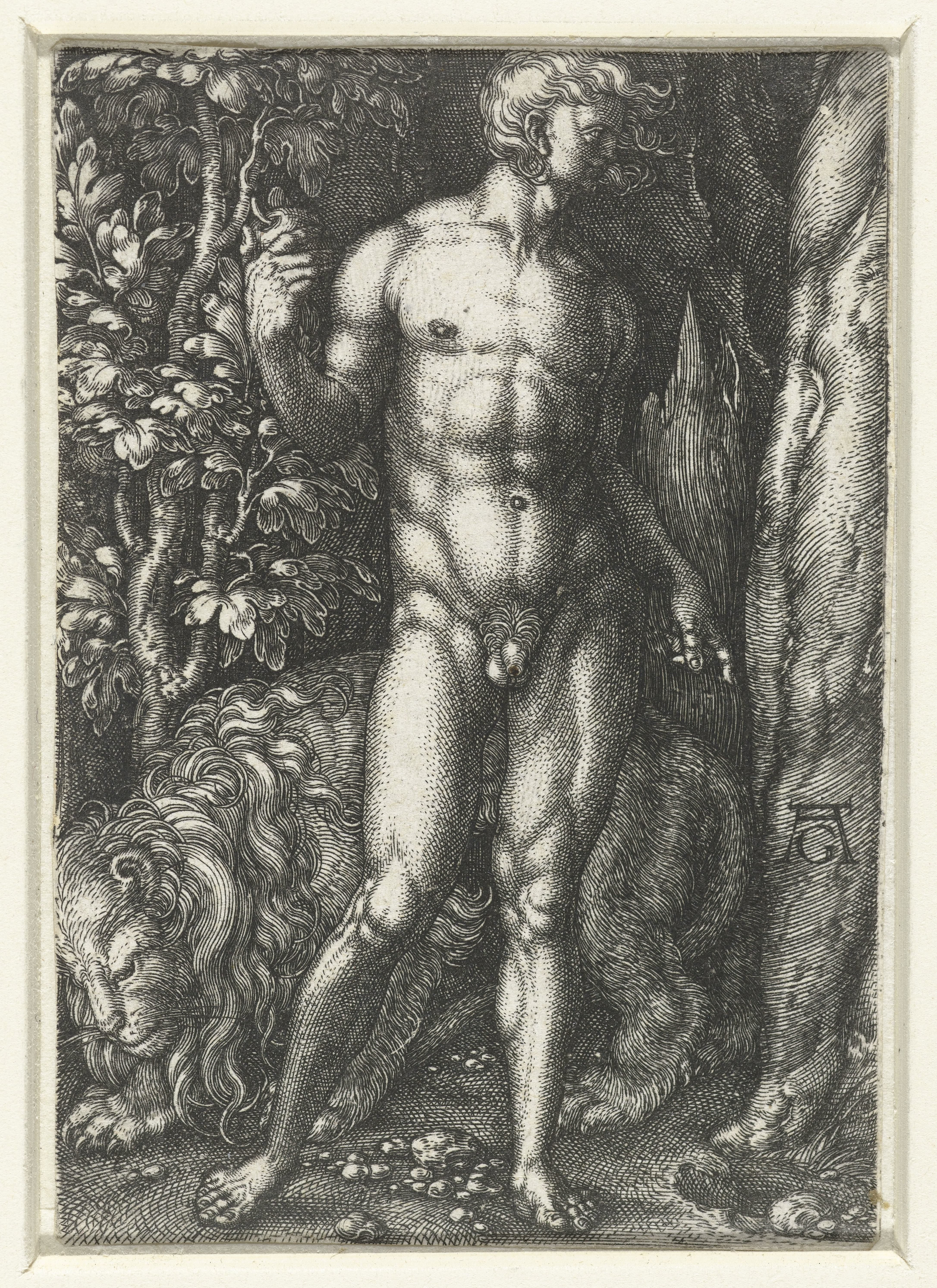 Adam