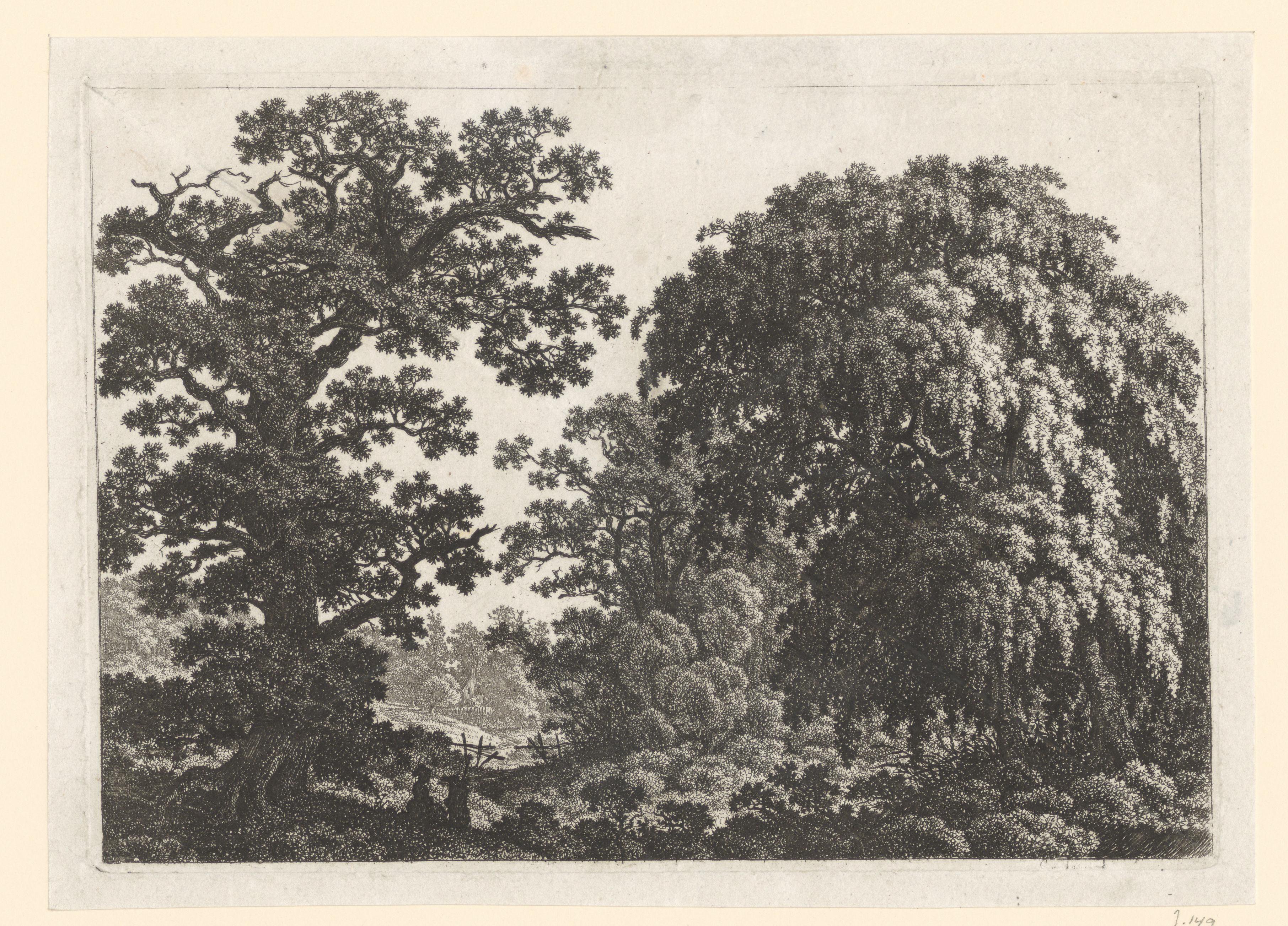 Bosrijk landschap met doorkijk op een boerderij