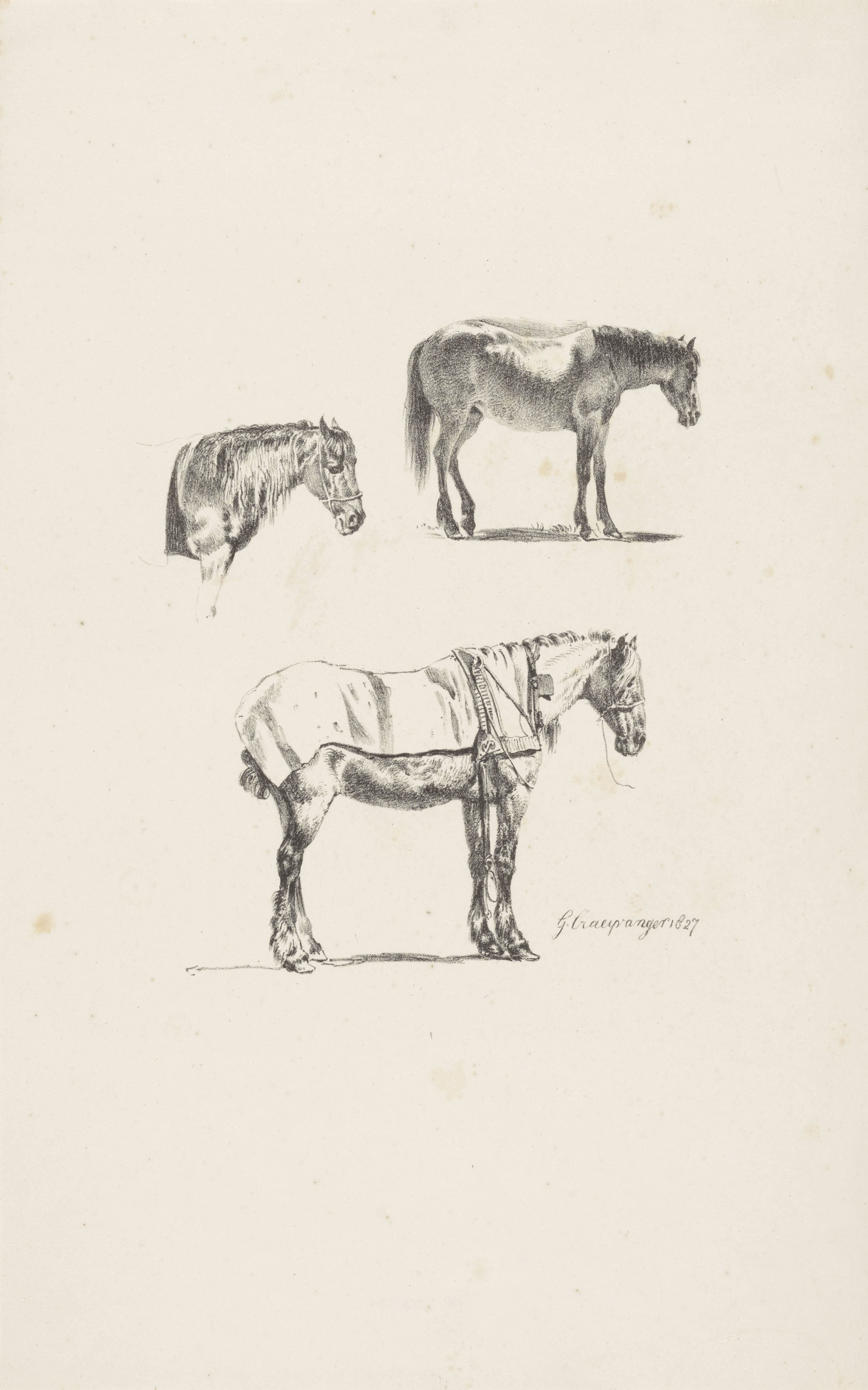 Drie paarden