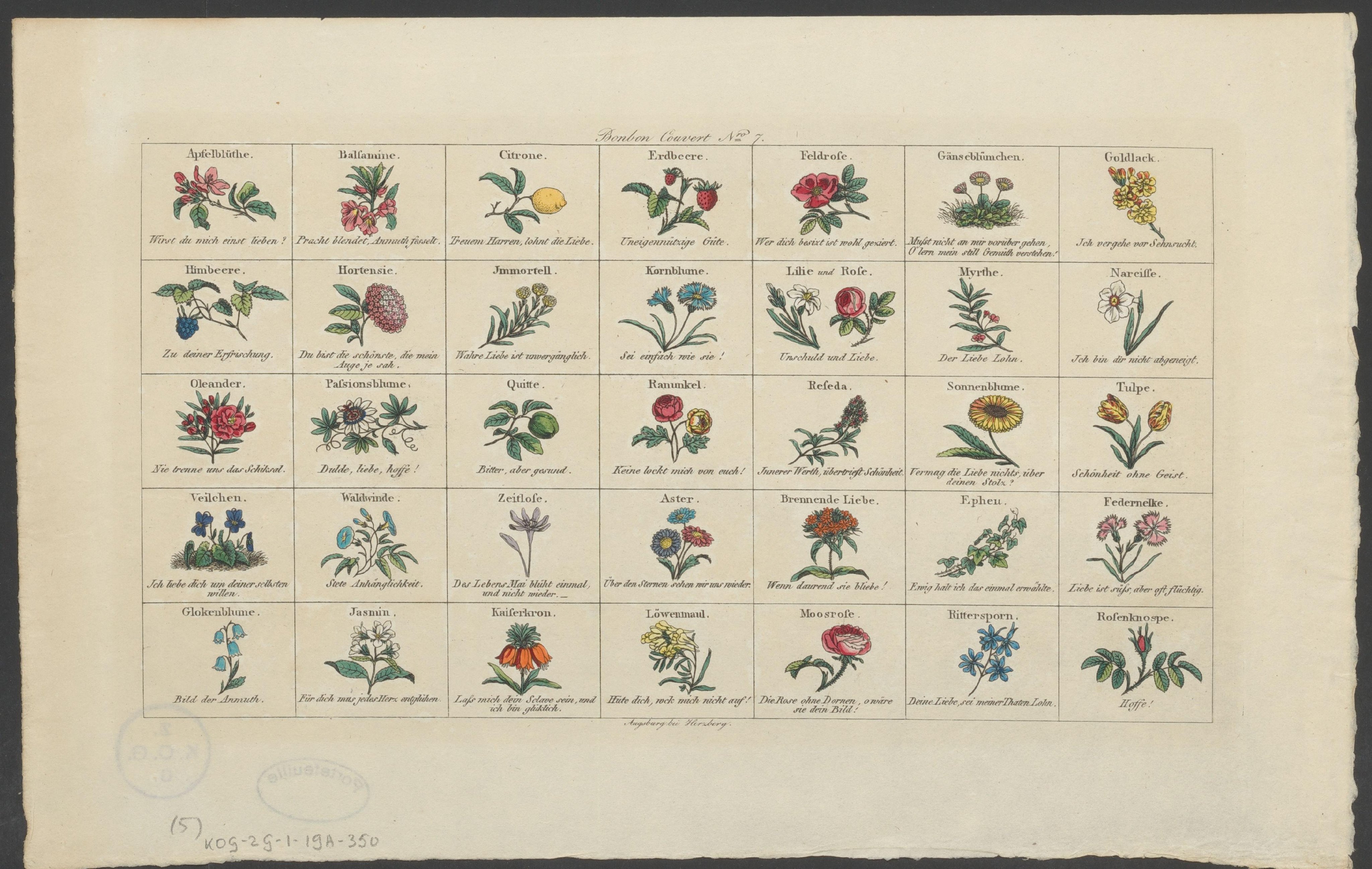 Vijfendertig verschillende bloemen en vruchten