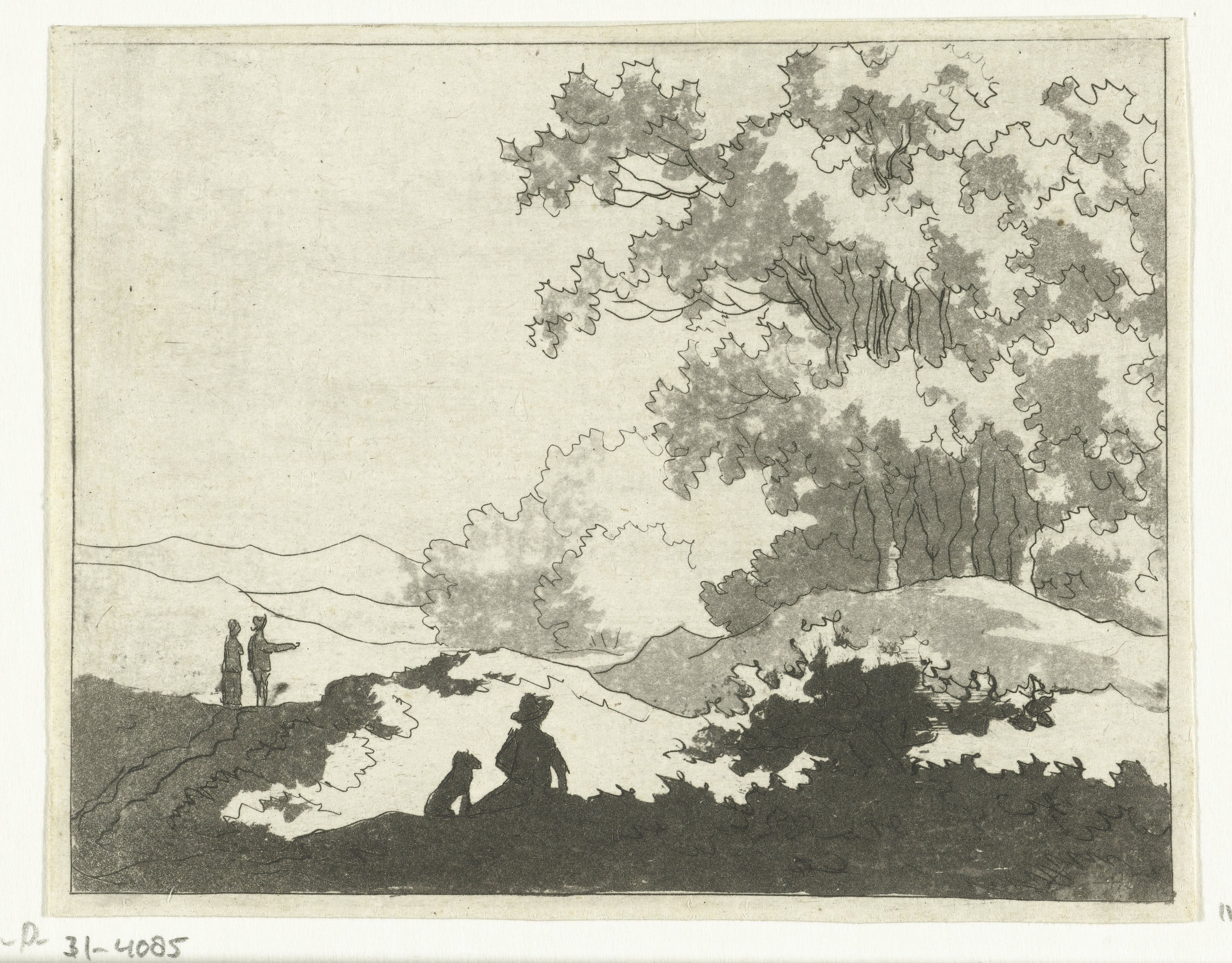 Duinlandschap
