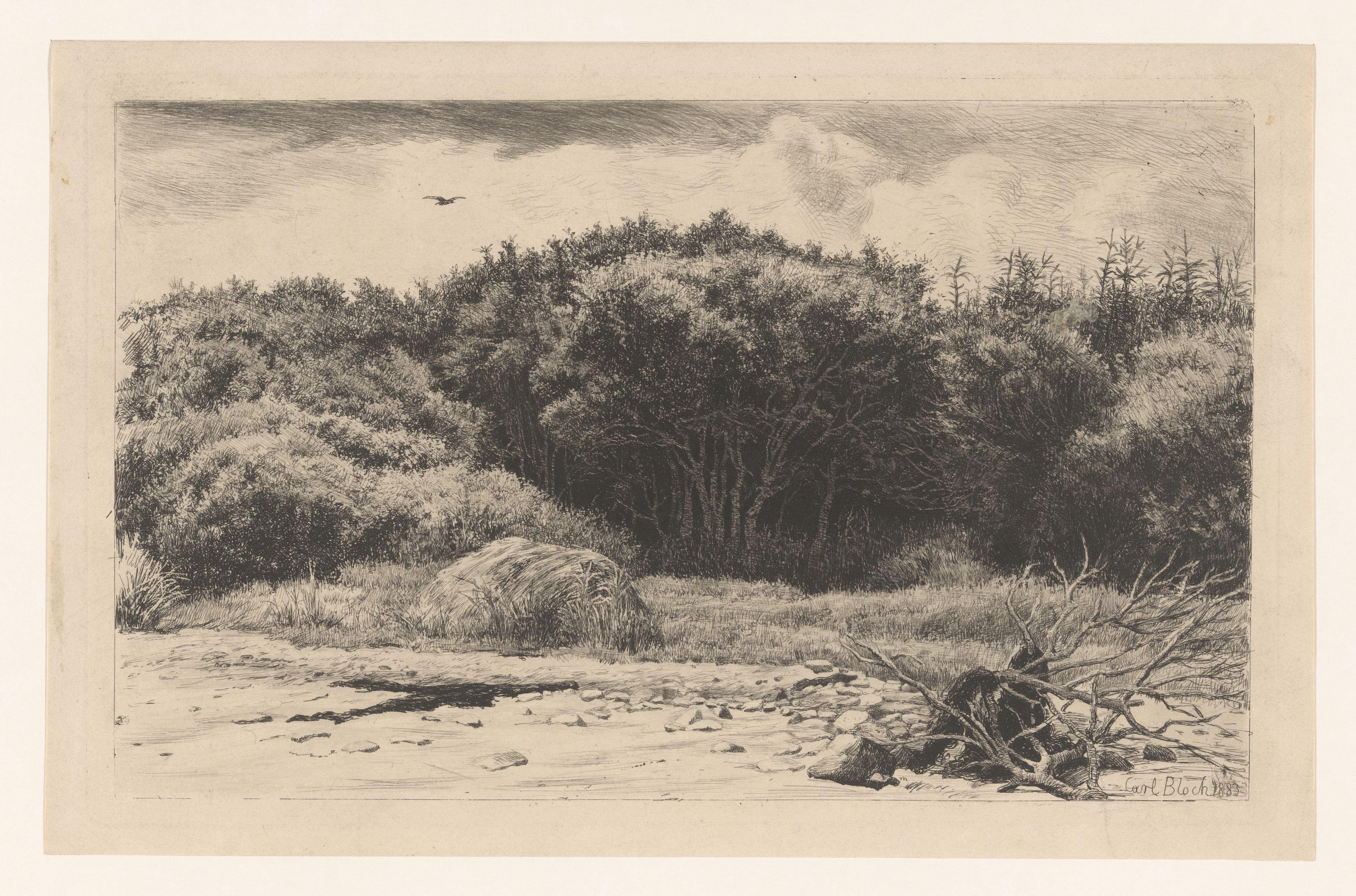 Landschap met bosrand