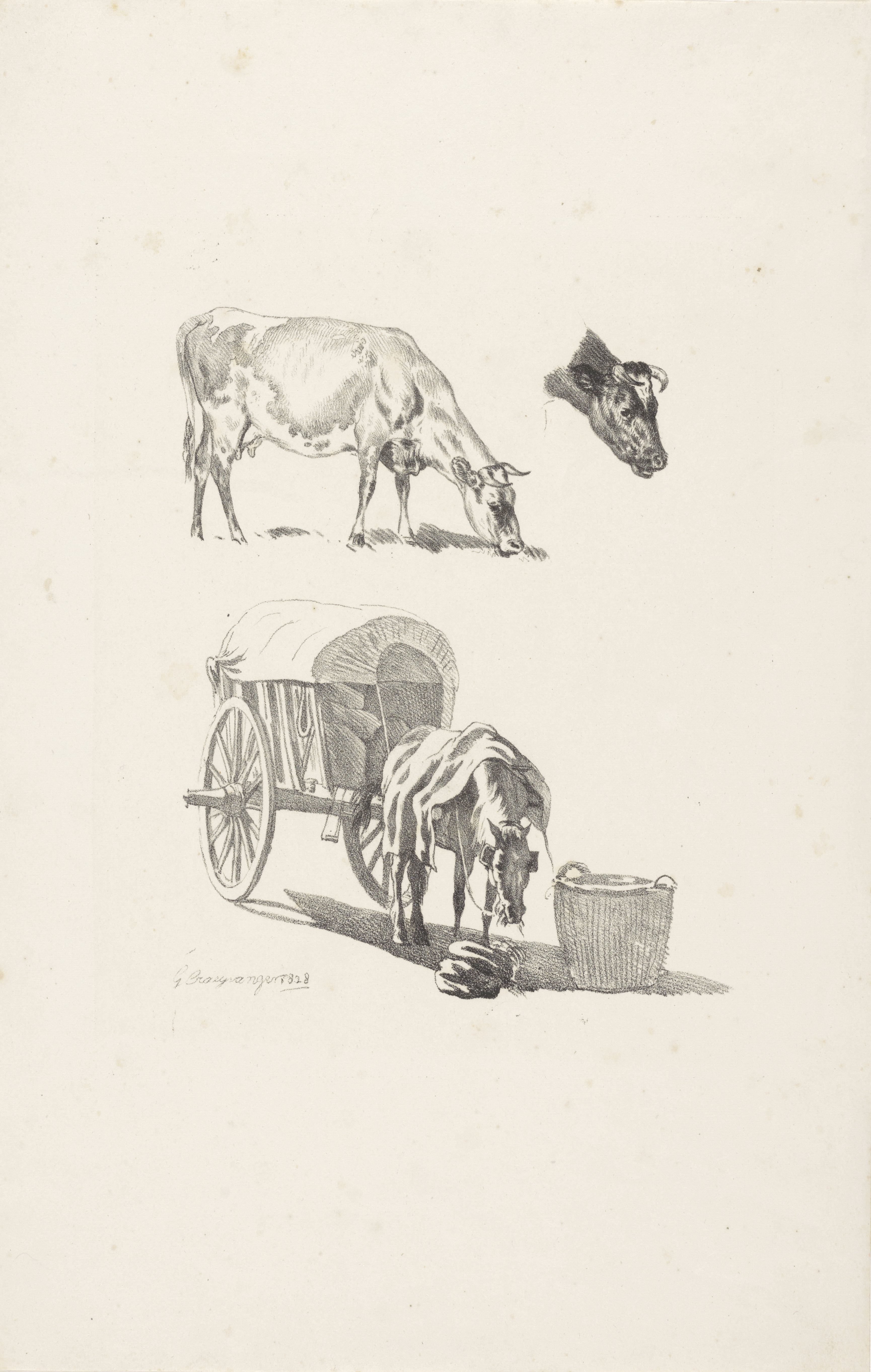 Koe, een koeienkop en een paard met wagen