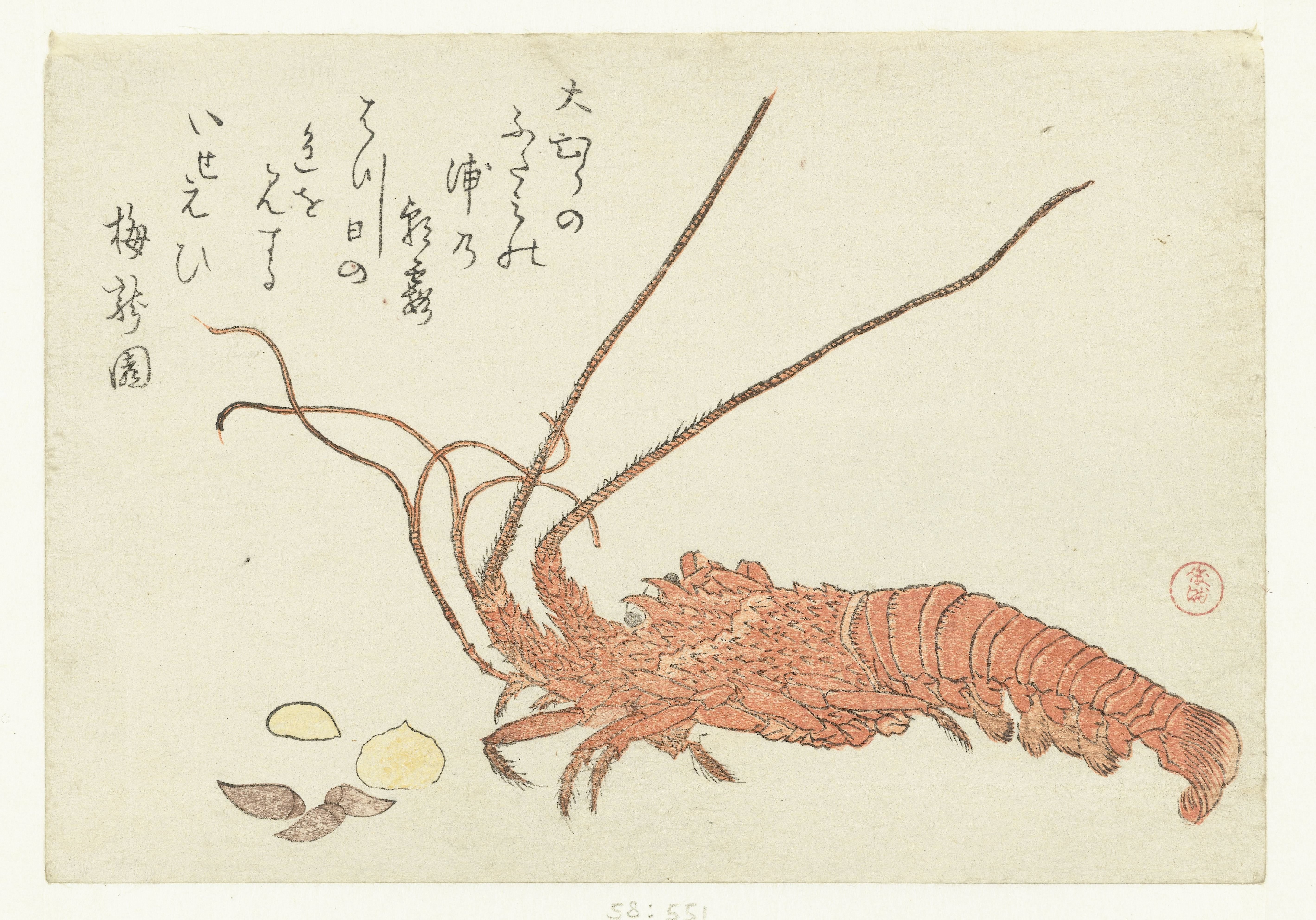 Lobster and Shells