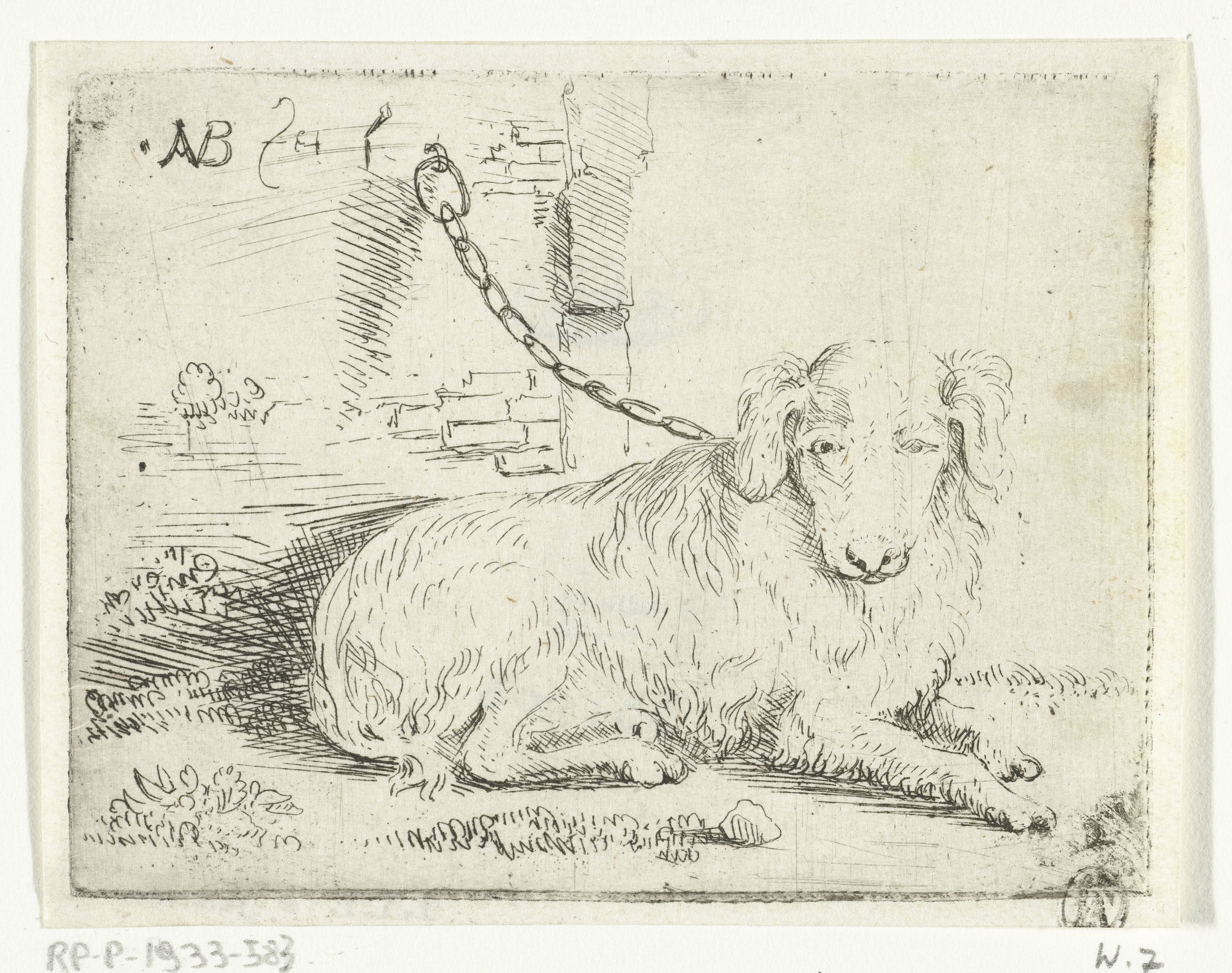 Hond aan ketting
