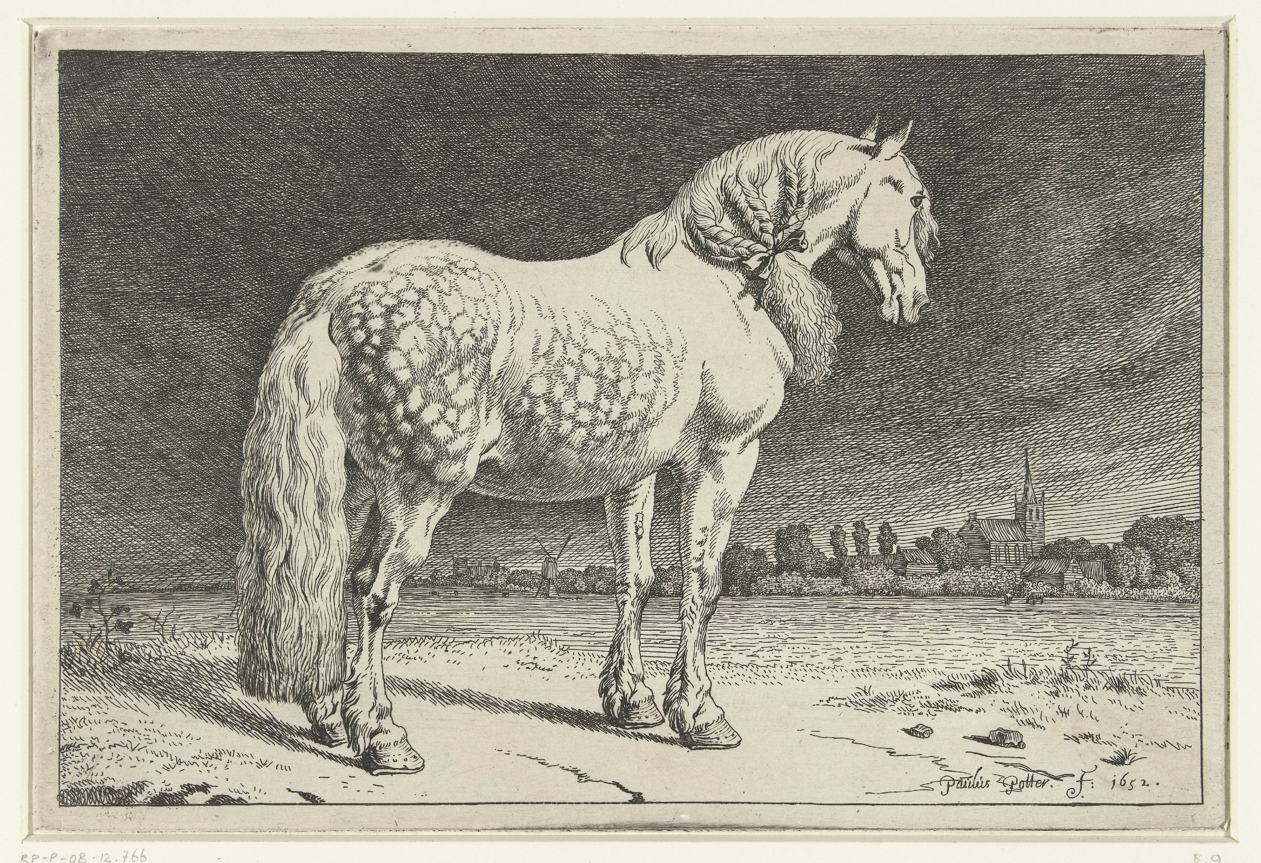Het Friese paard