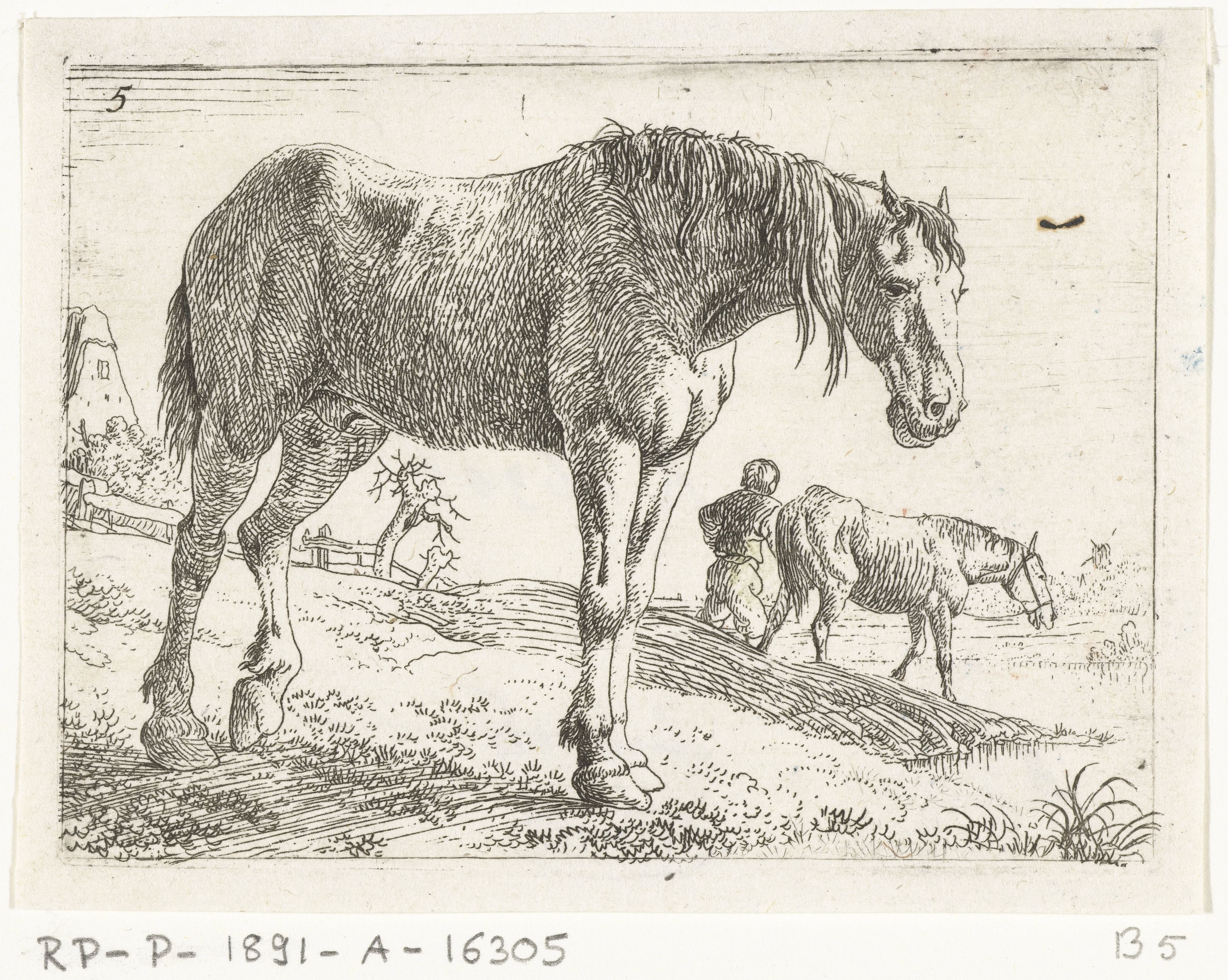 Staand paard