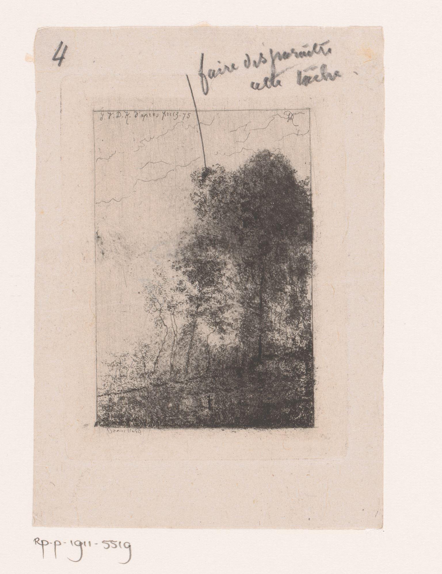 Boslandschap