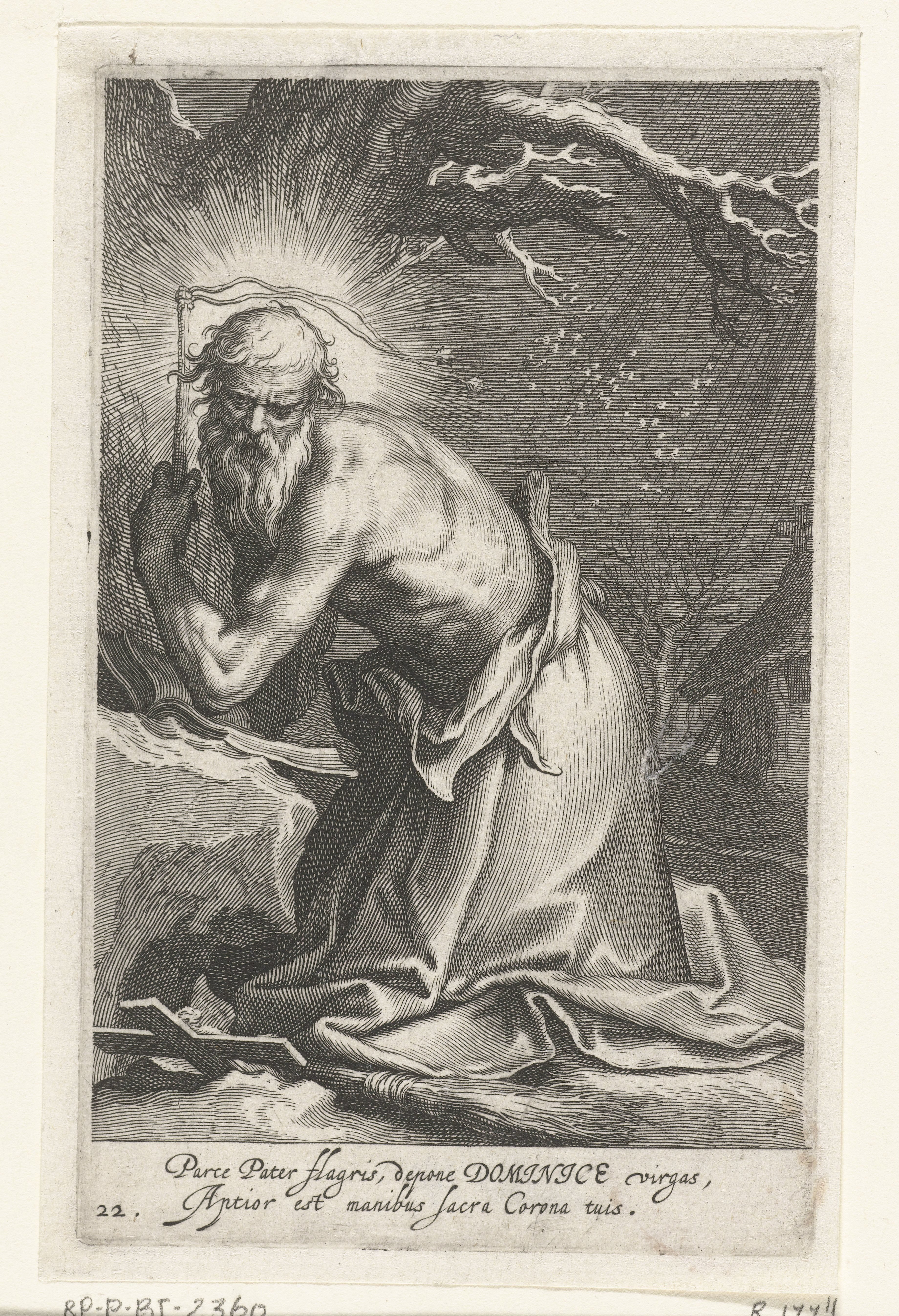 Heilige Dominicus Loricatus