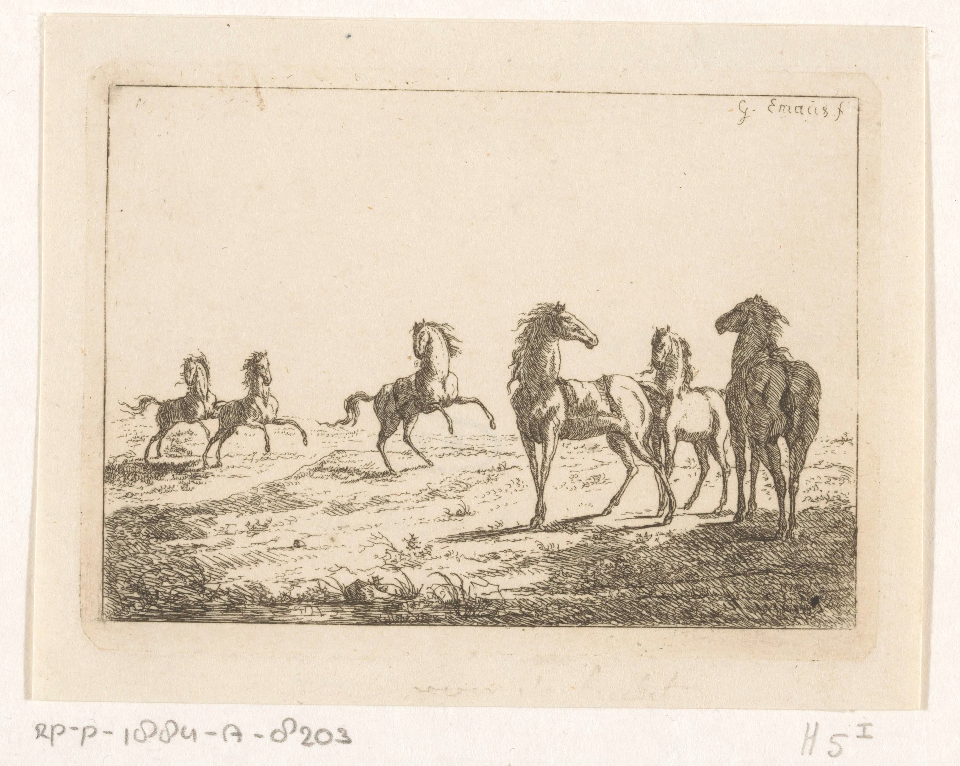 Kudde wilde paarden