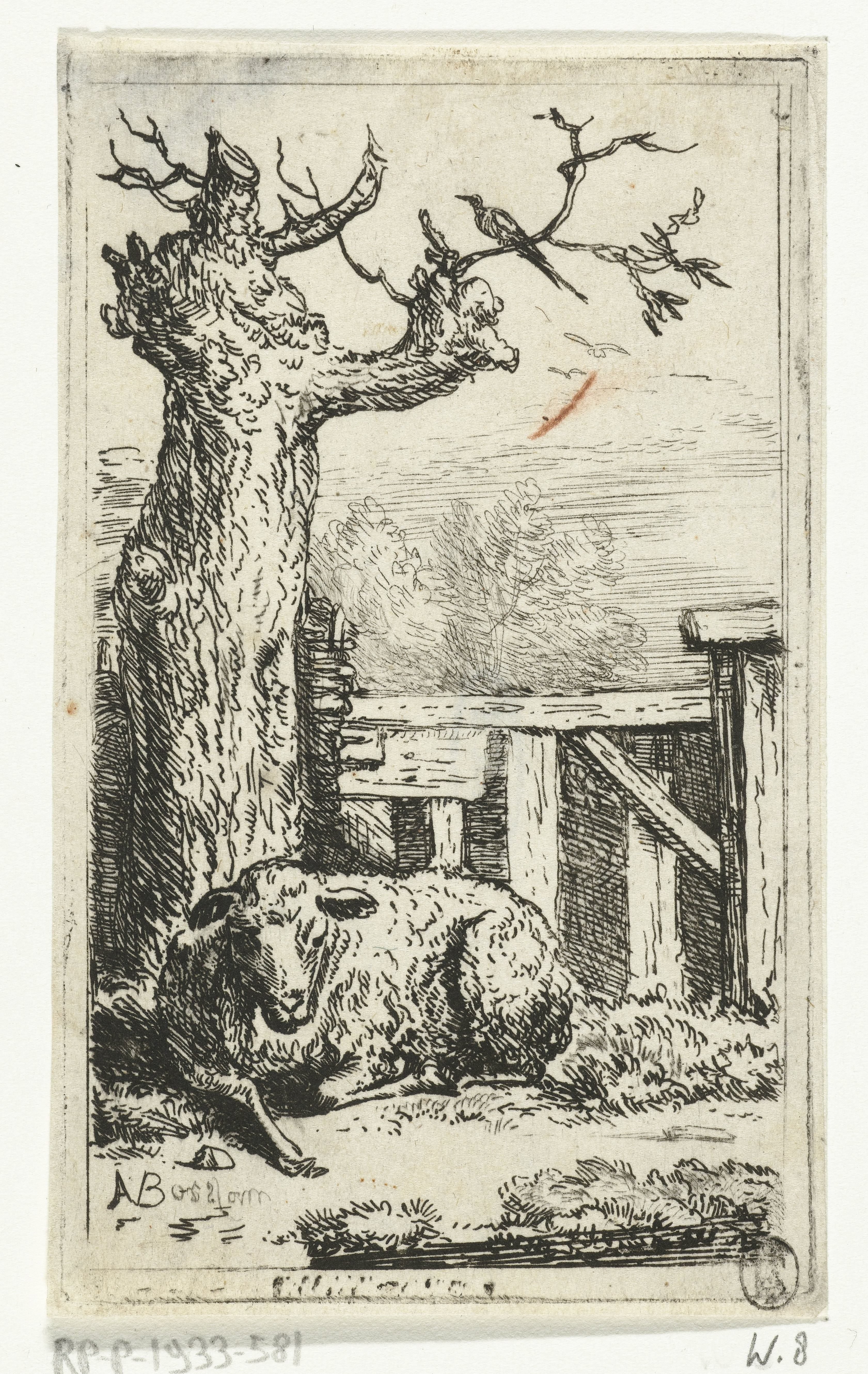 Schaap aan de voet van een wilg