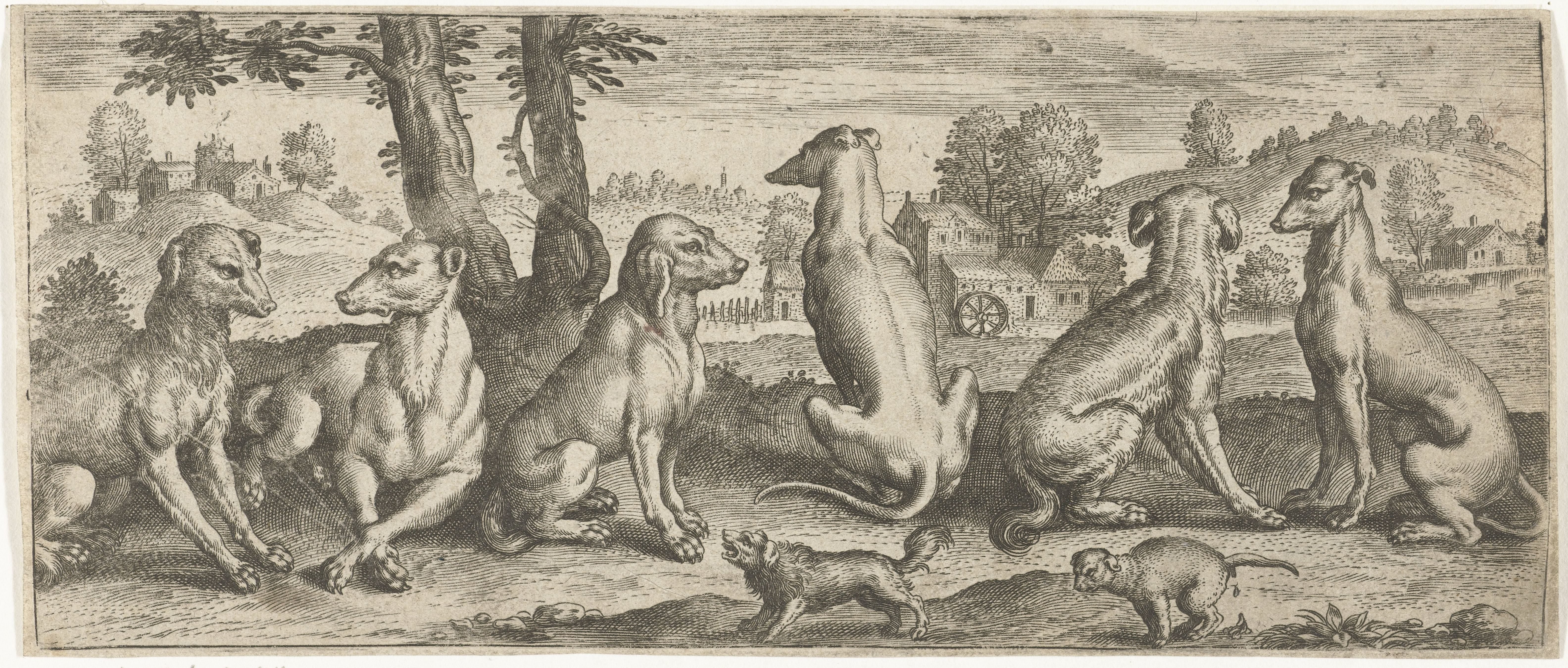 Honden