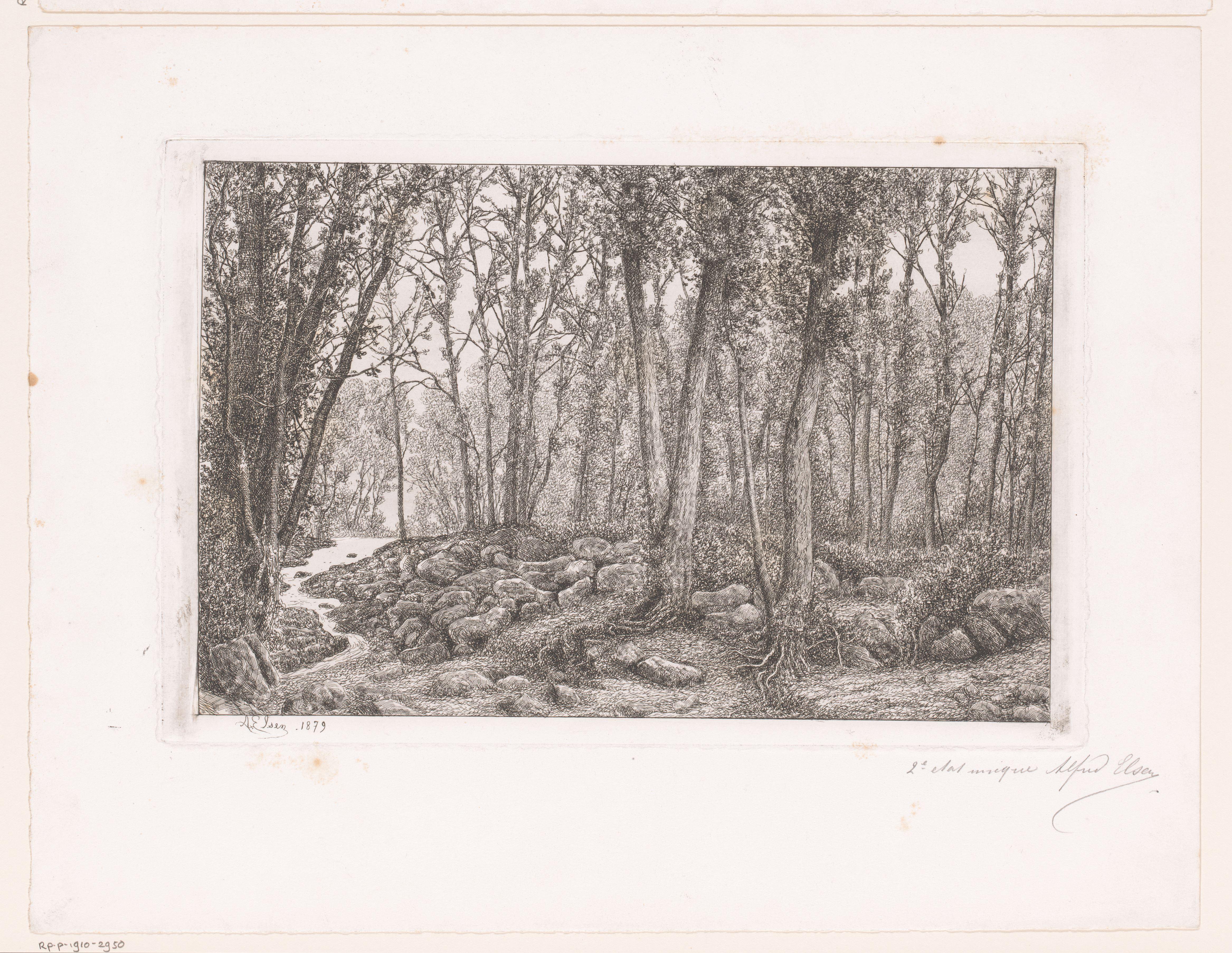 Bosgezicht met links een beek