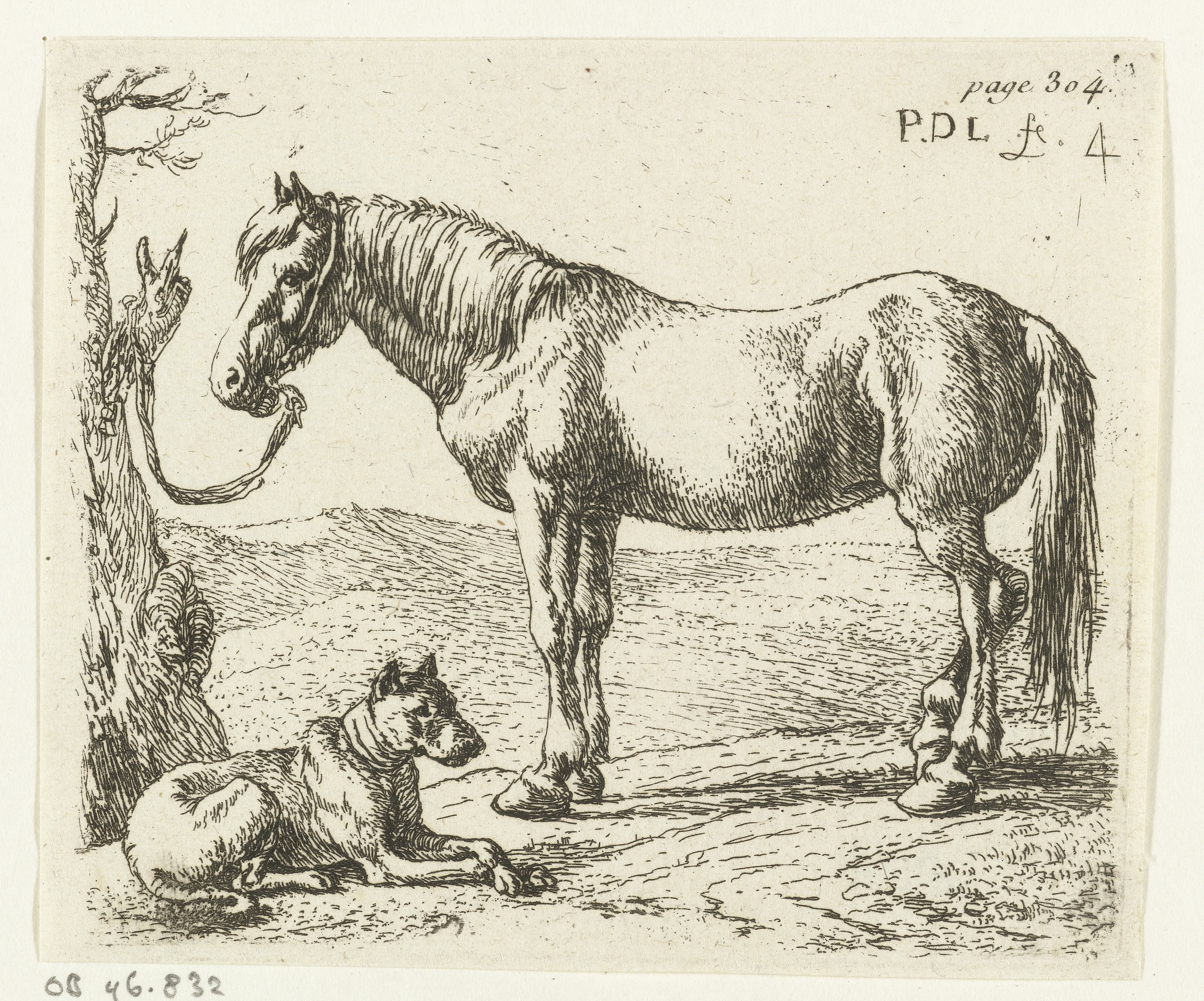 Paard en hond in een weide