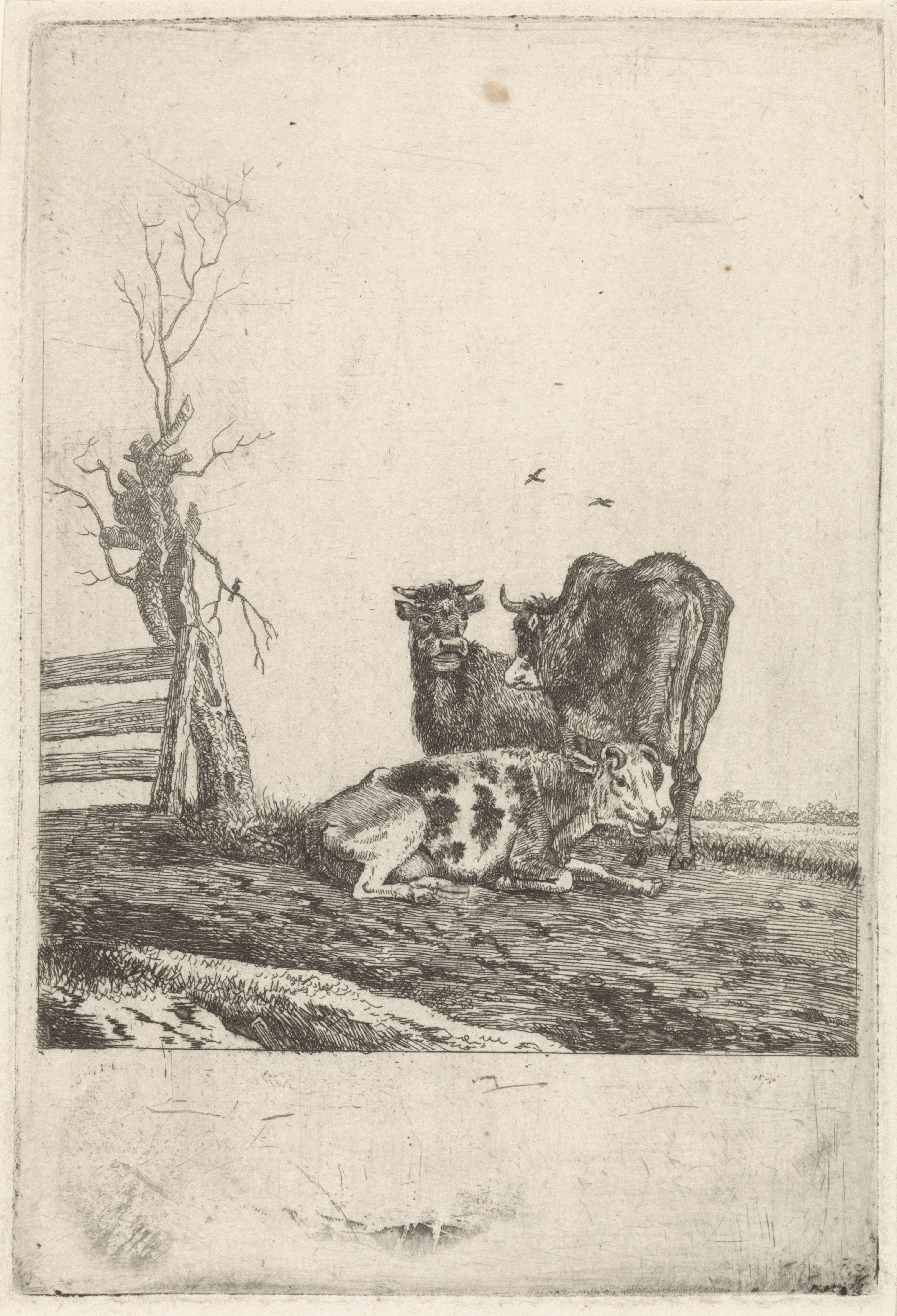 Landschap met drie koeien