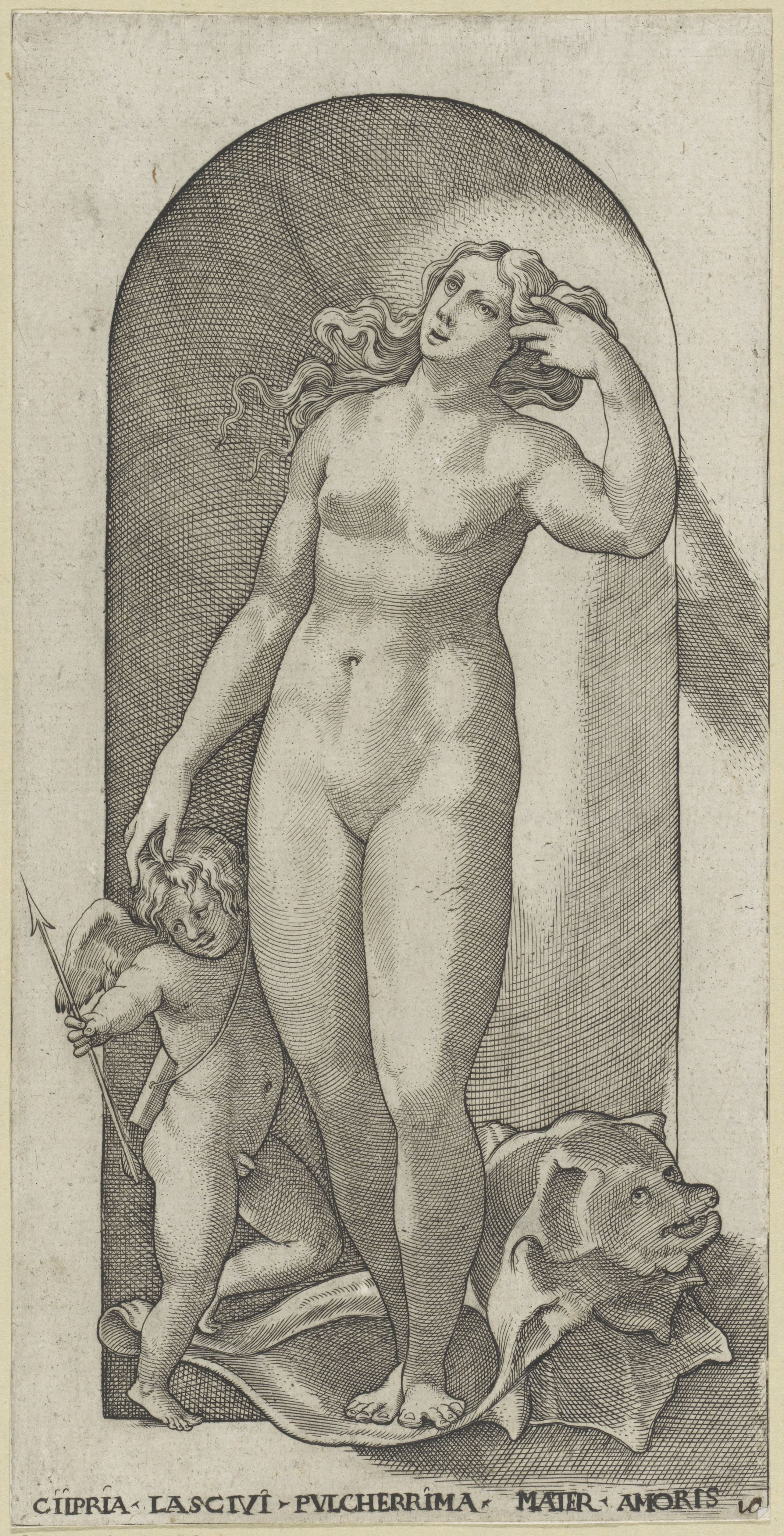 Venus