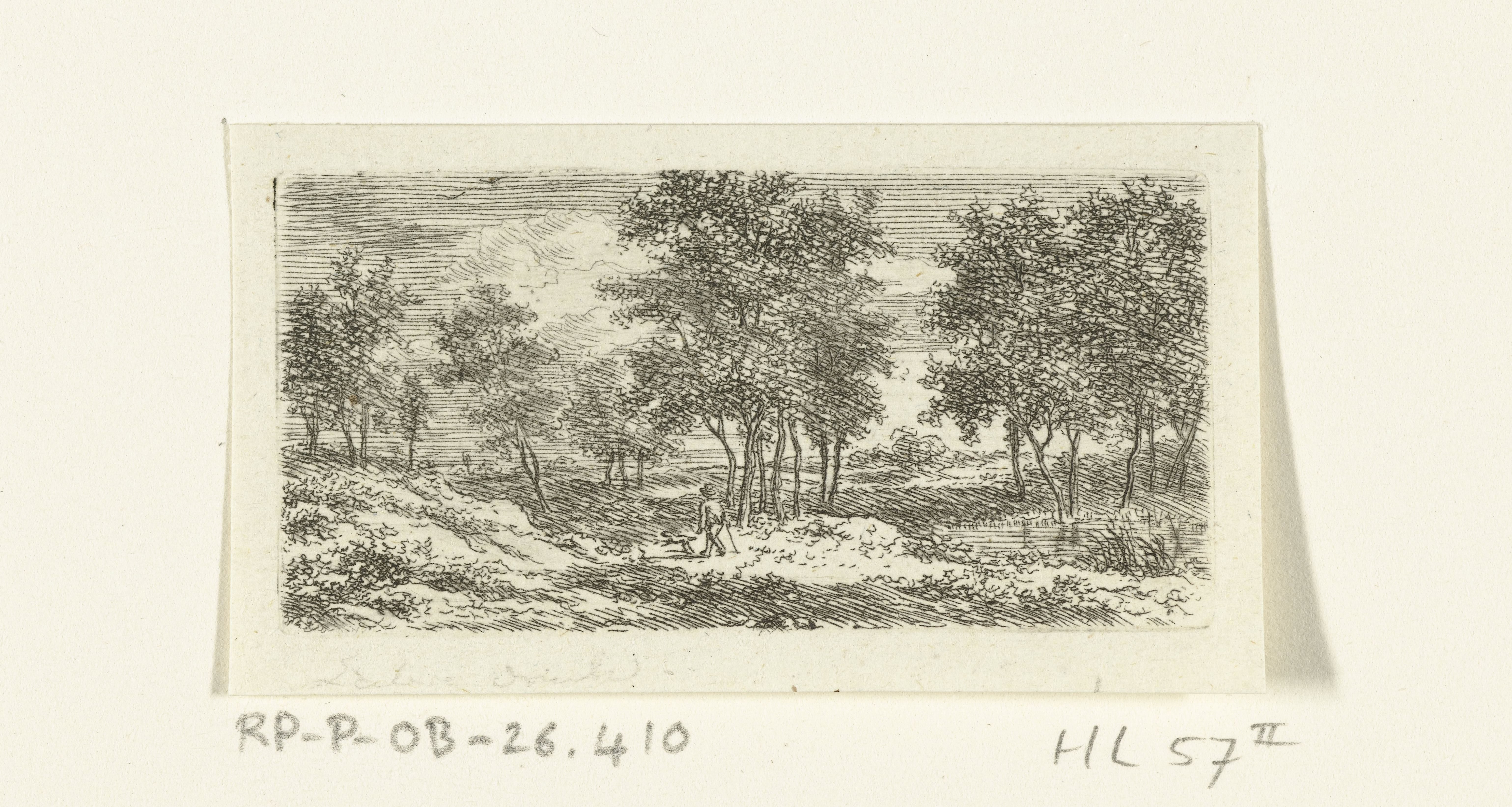 Landschap met wandelaar en hond