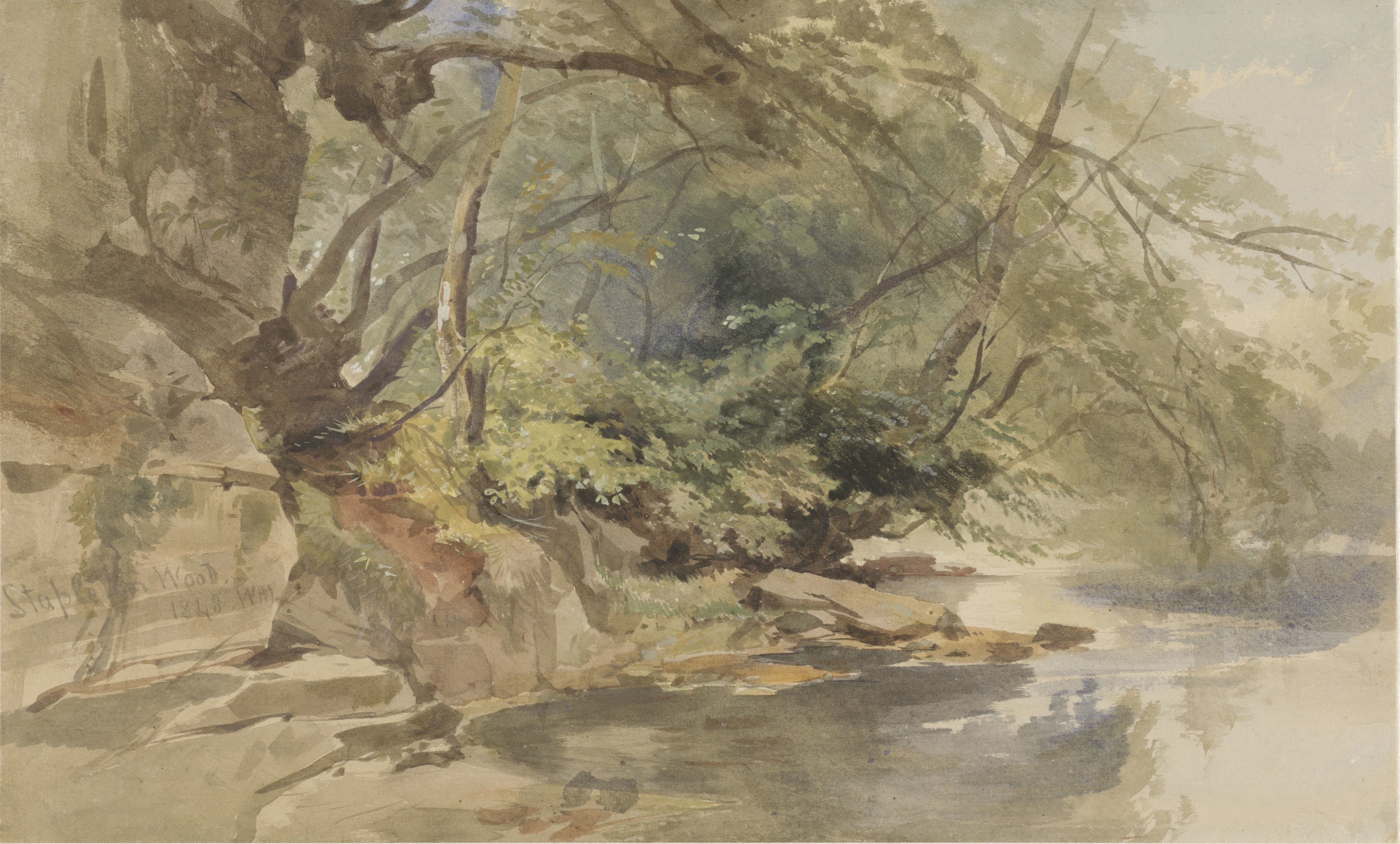 Gezicht in Stapleton Wood, bij Bristol