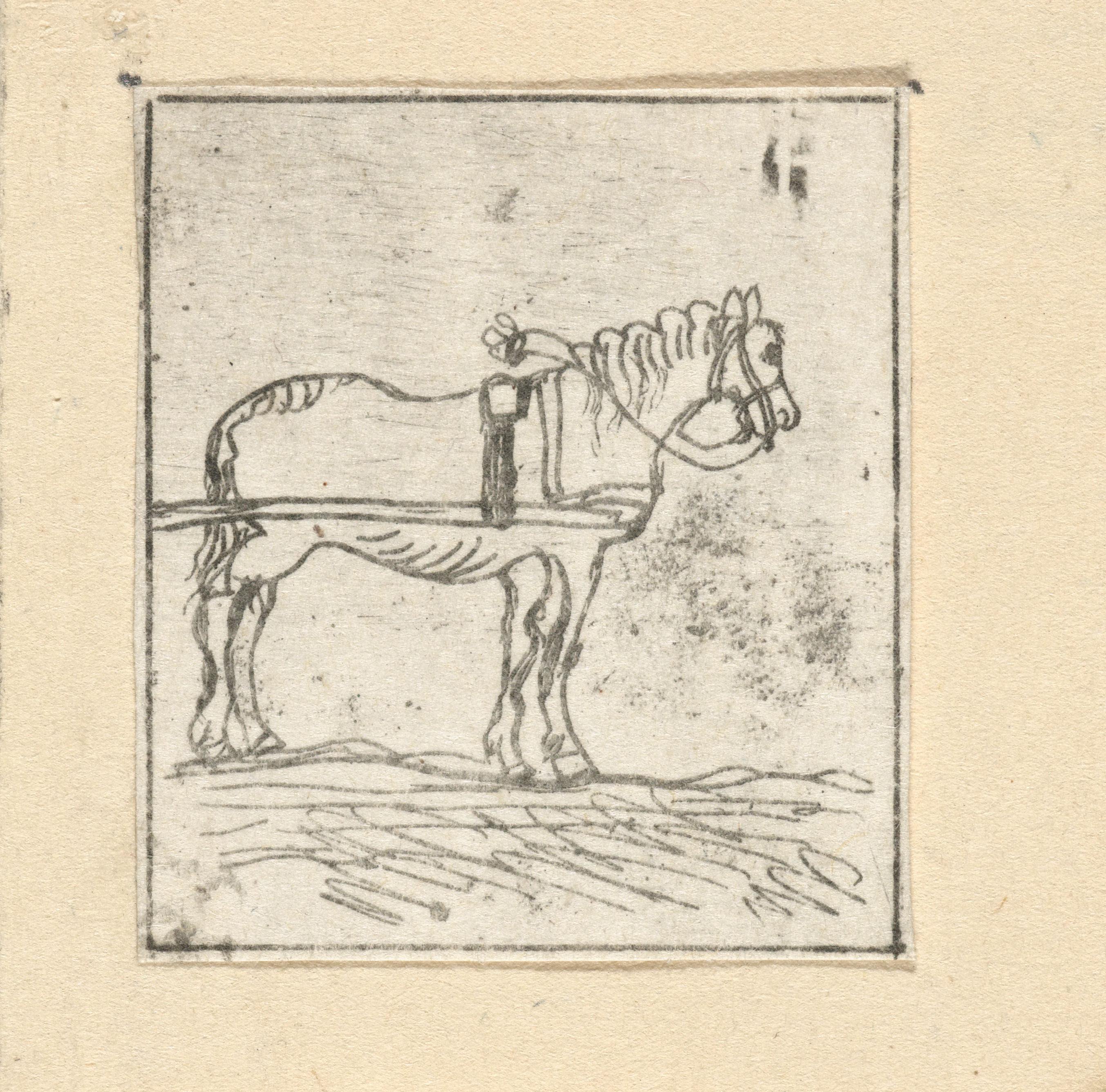 Paard