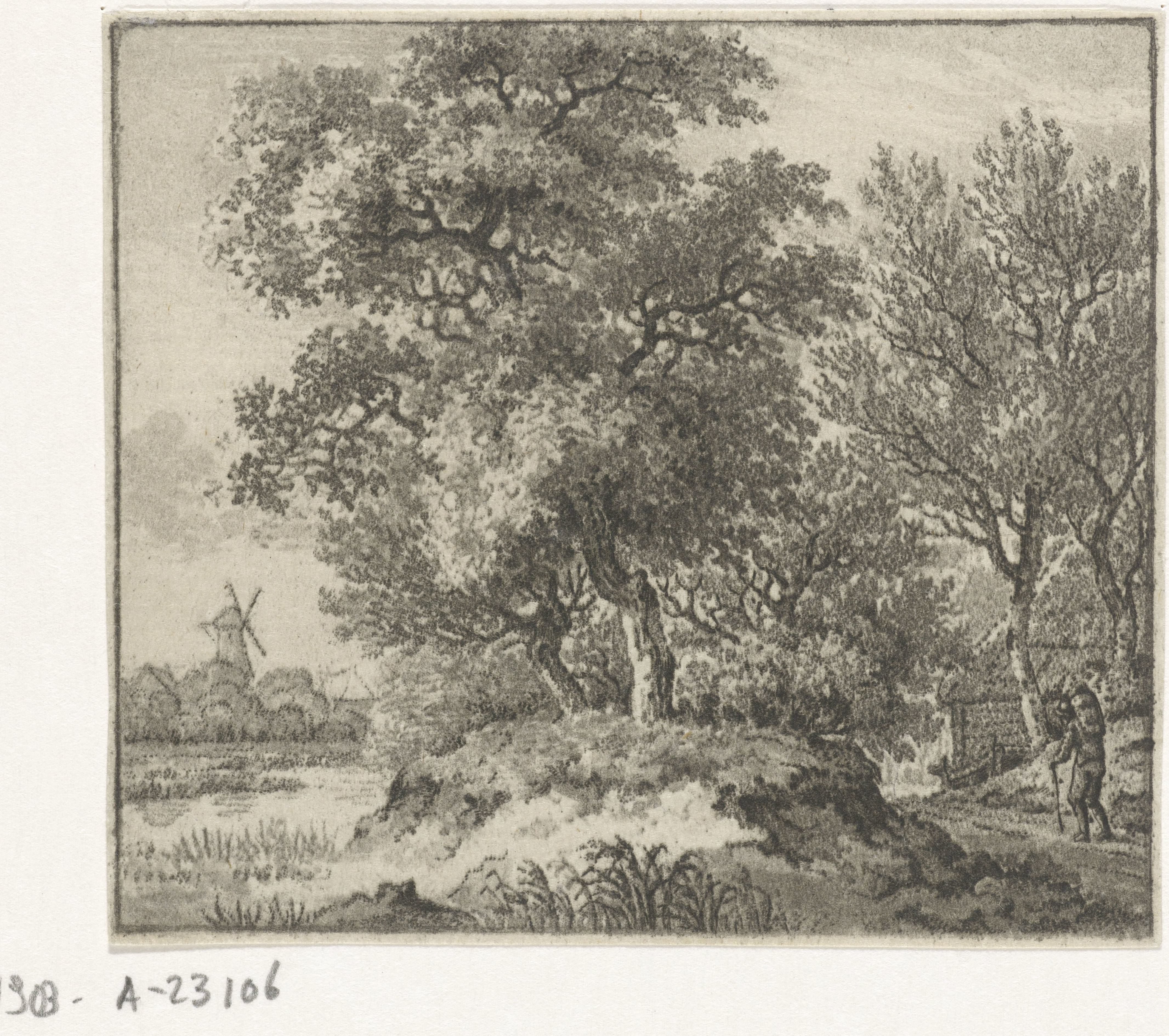 Bebost landschap met wandelaar