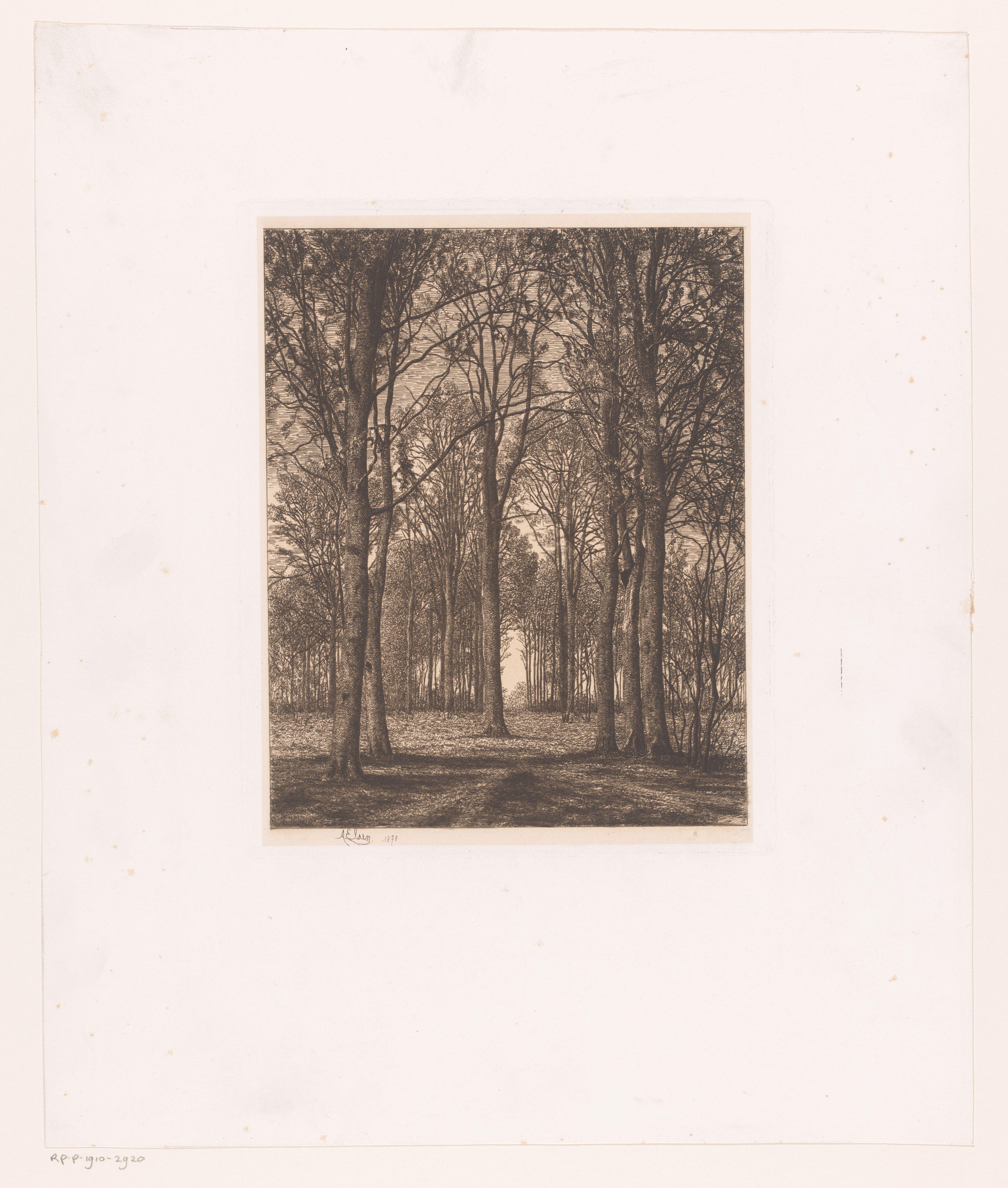 Landschap met bomen
