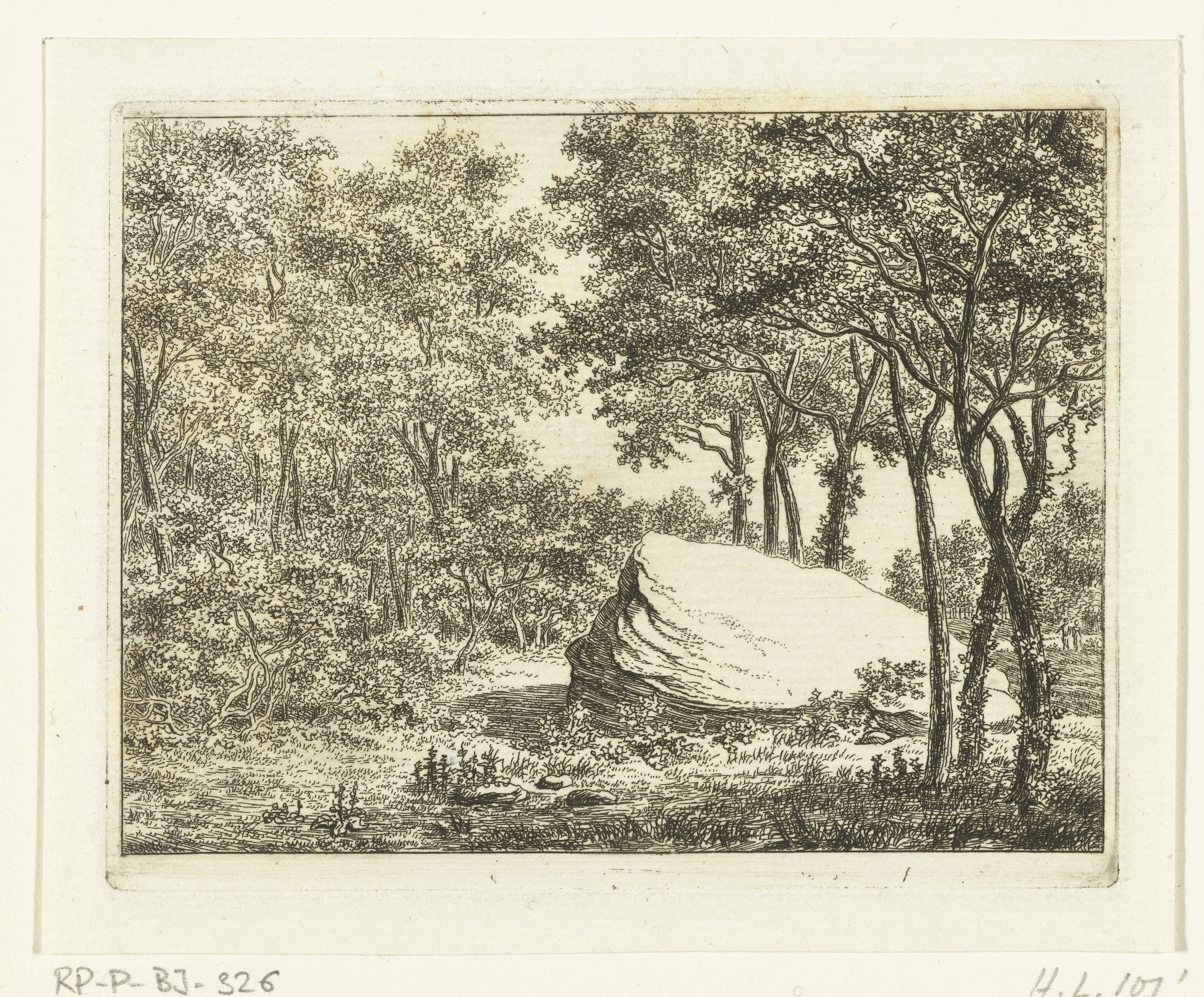 Landschap met bomen en grote steen