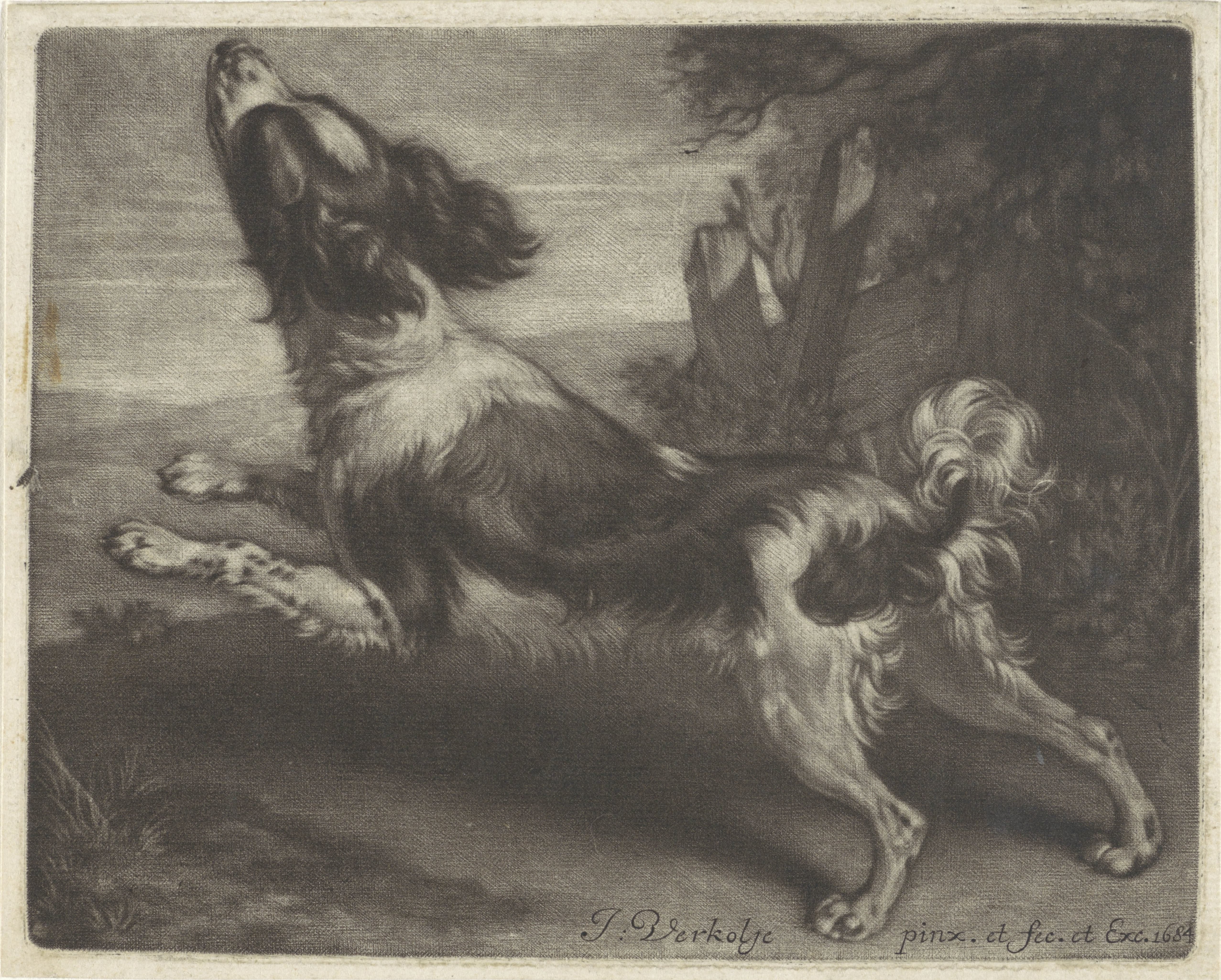 Rennende hond, mogelijk een spaniël