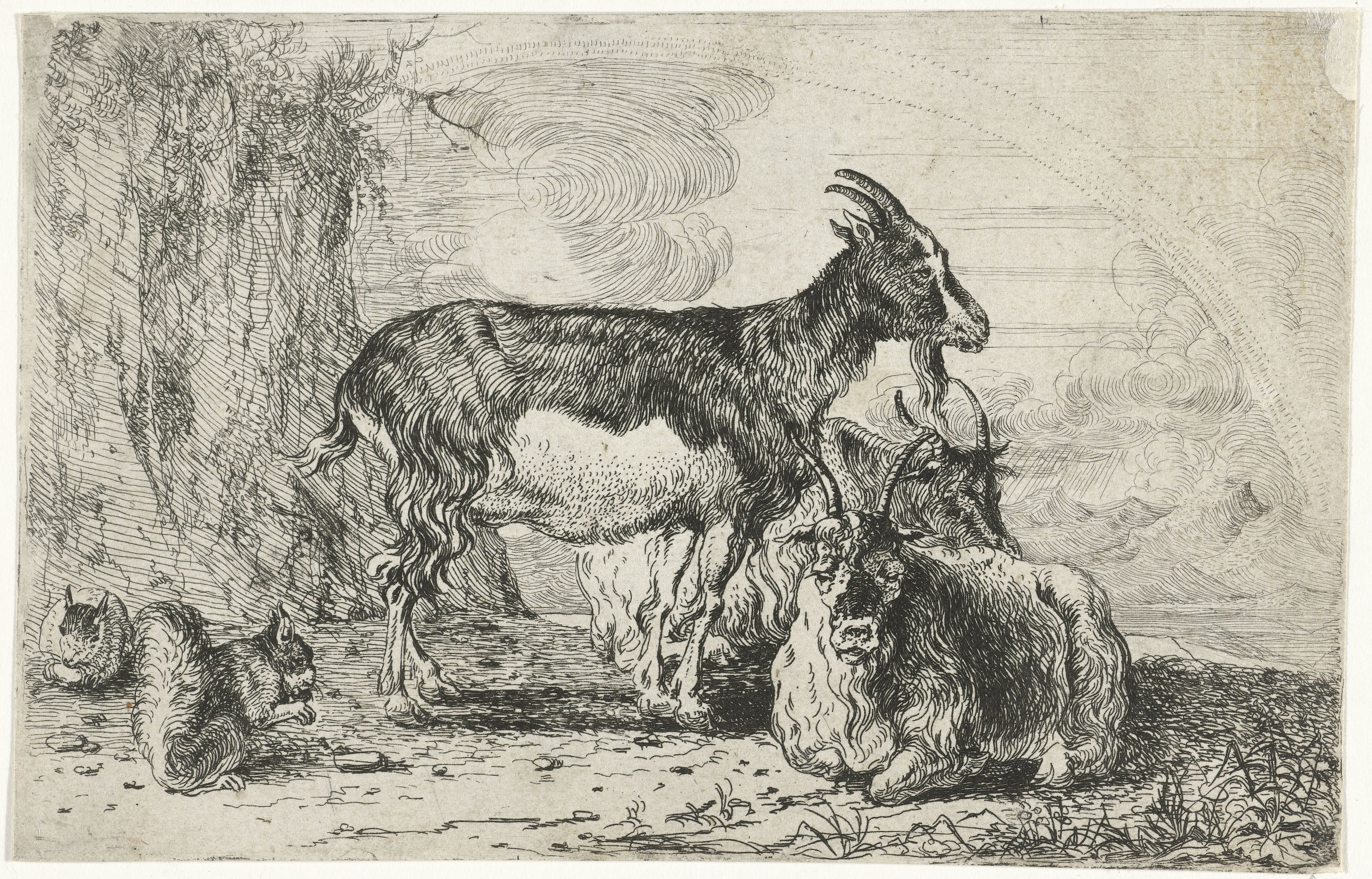 Geiten