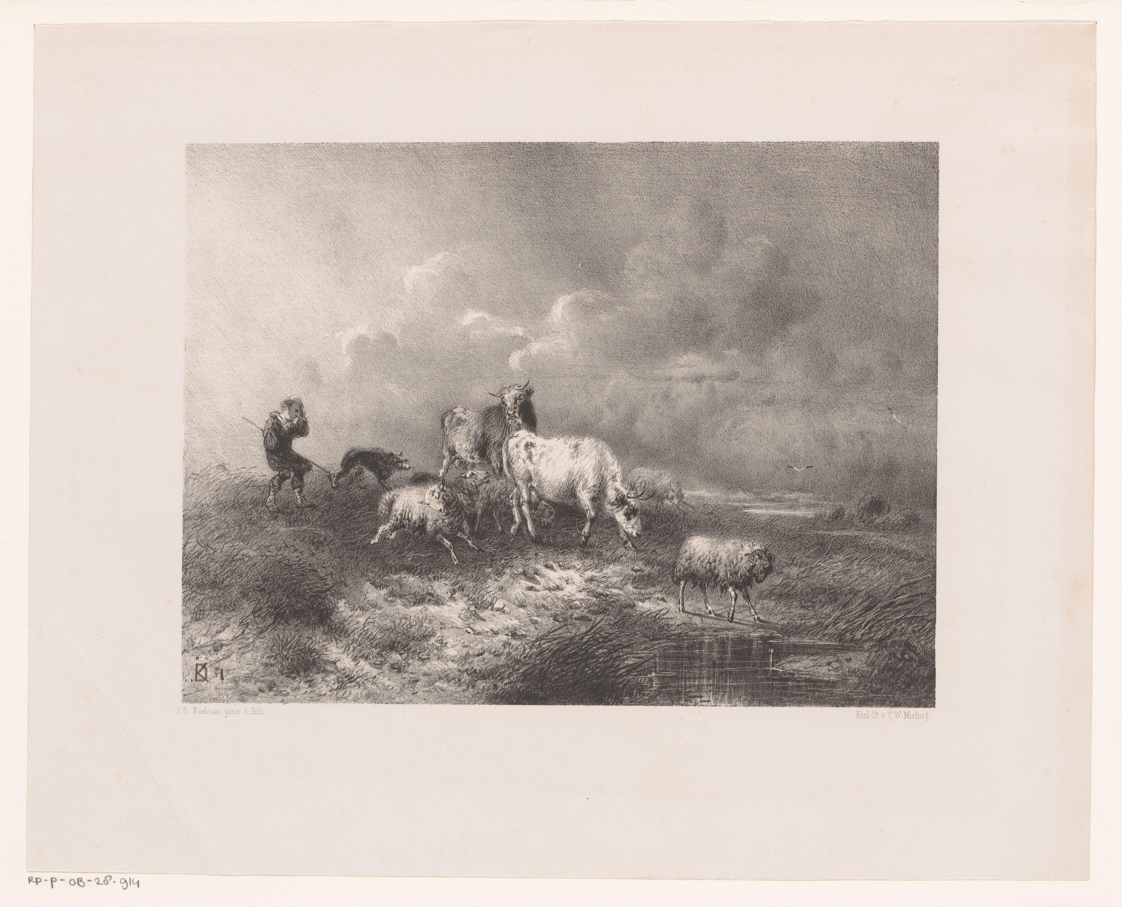 Herder met kudde in een storm