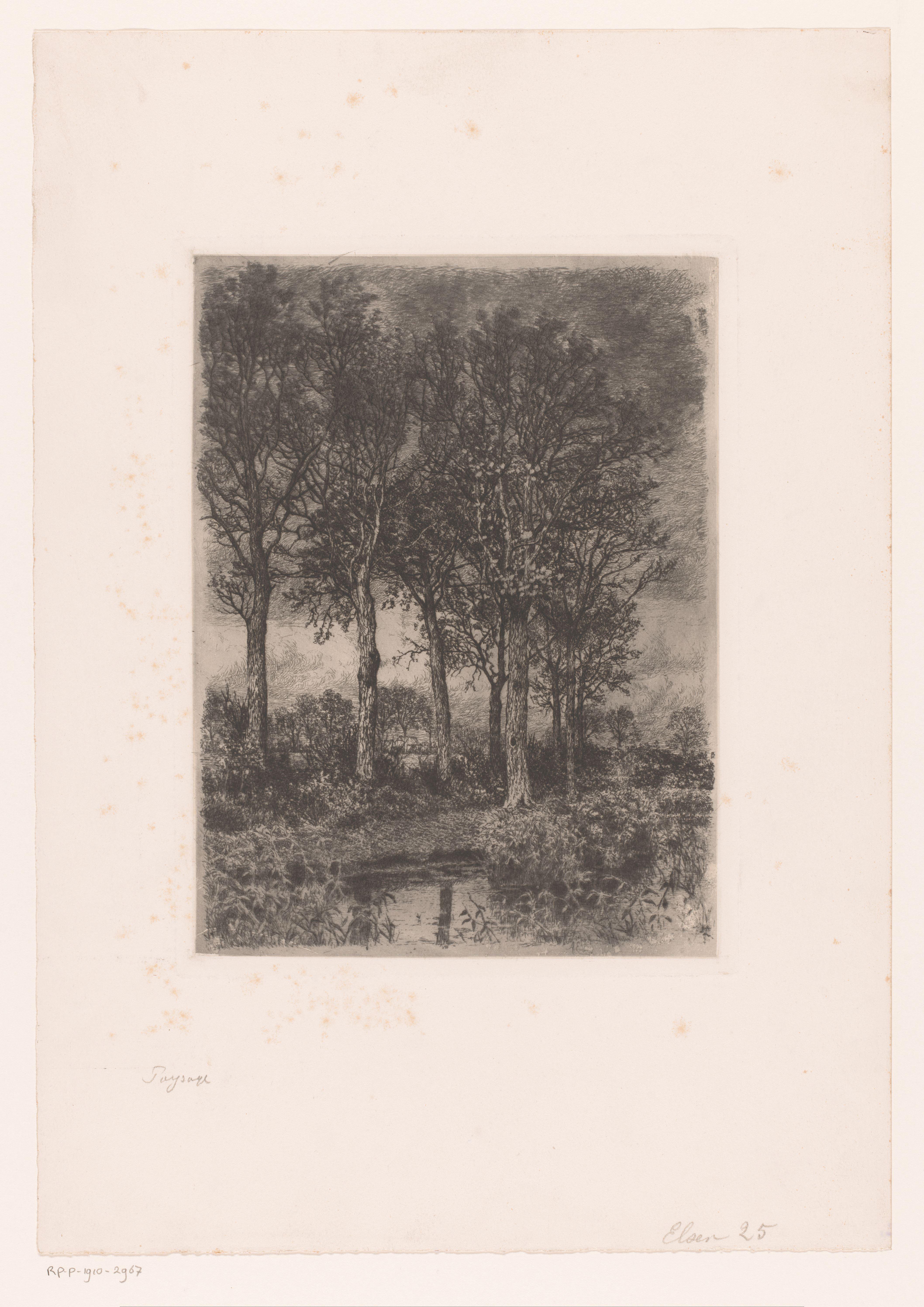 Bomen aan het water met op de achtergrond bebouwing