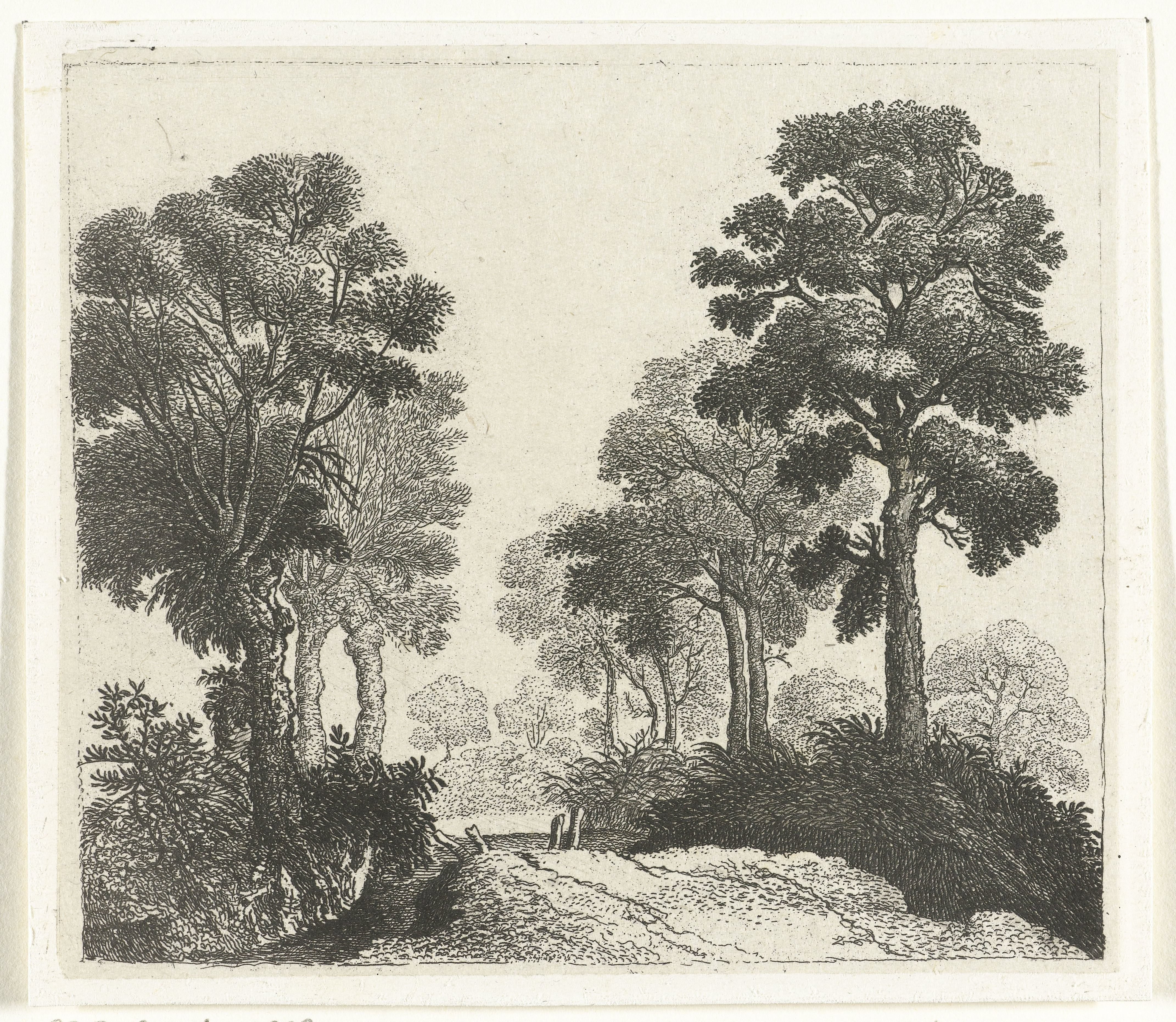 Landschap met bomen langs een pad