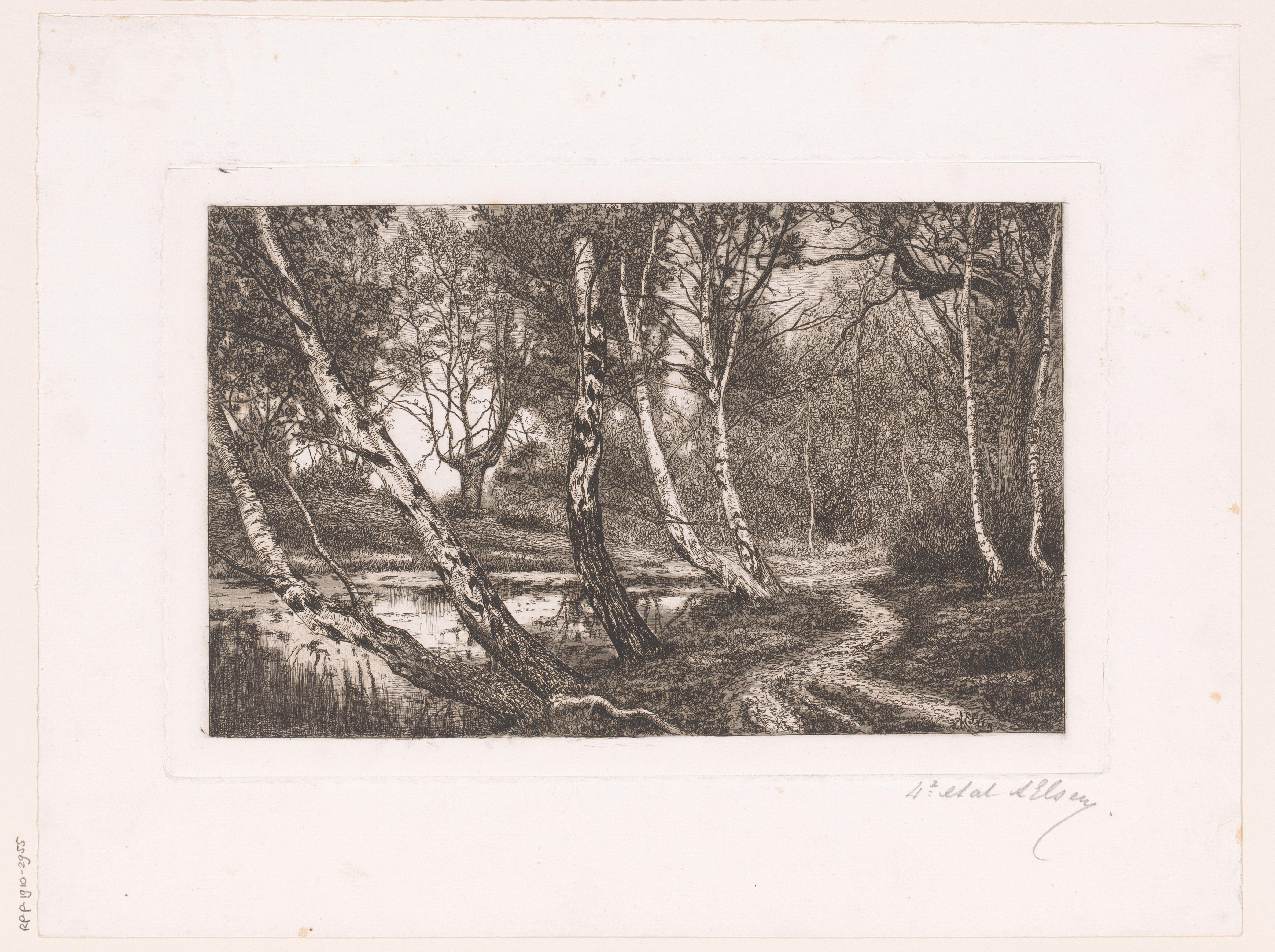 Landschap met berken langs een oever