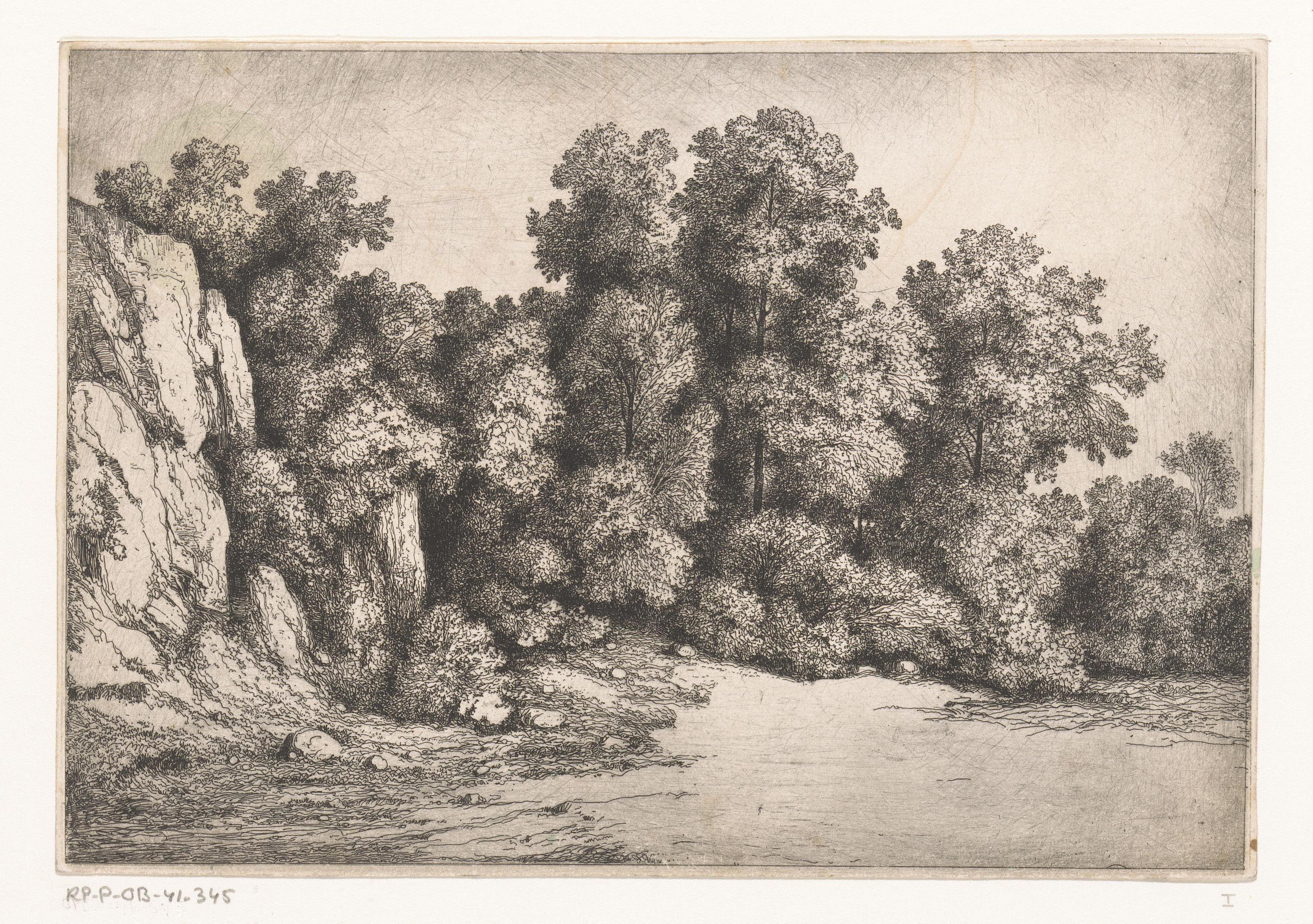 Bomen bij een rotswand