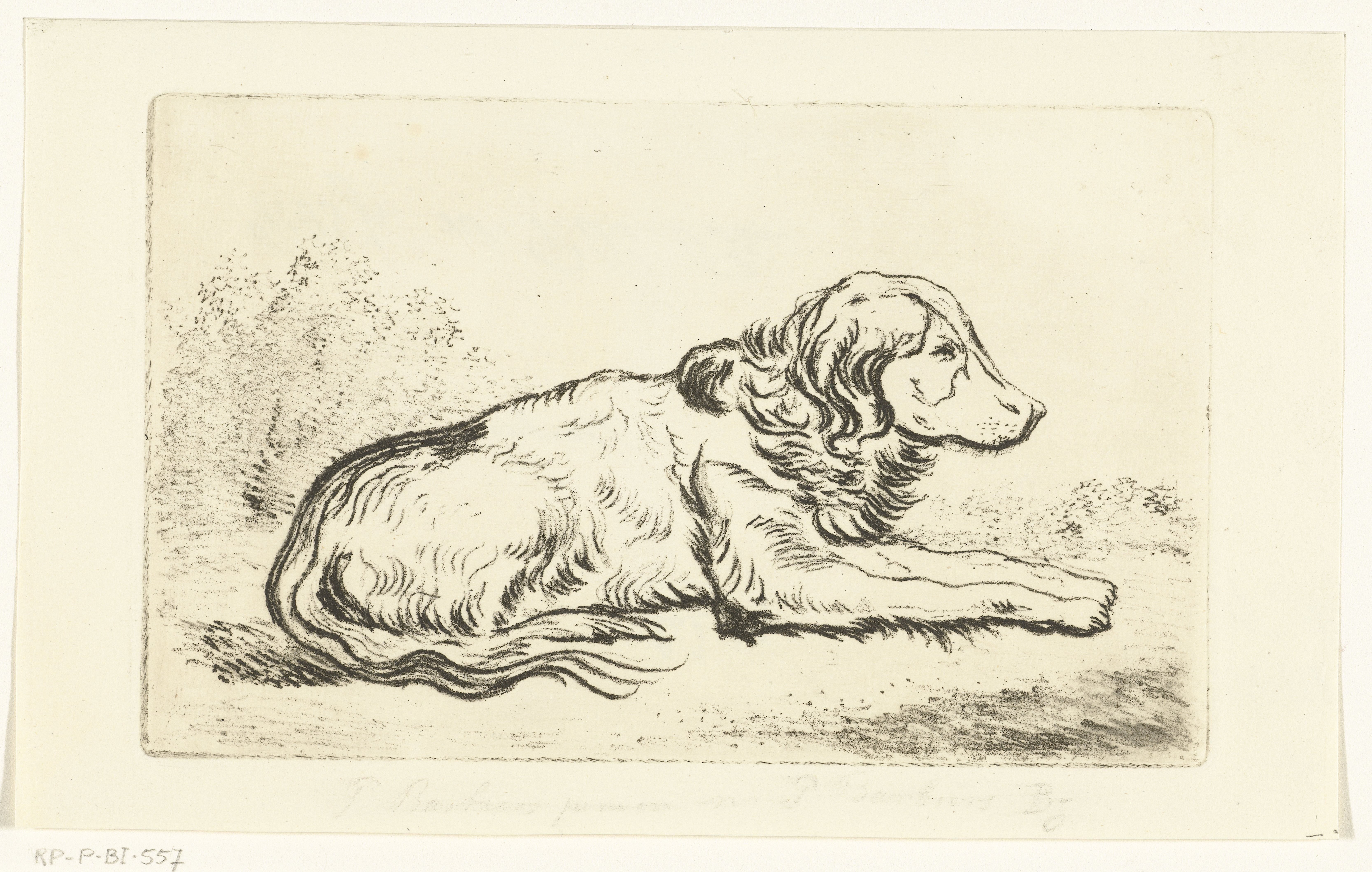 Liggende hond in landschap