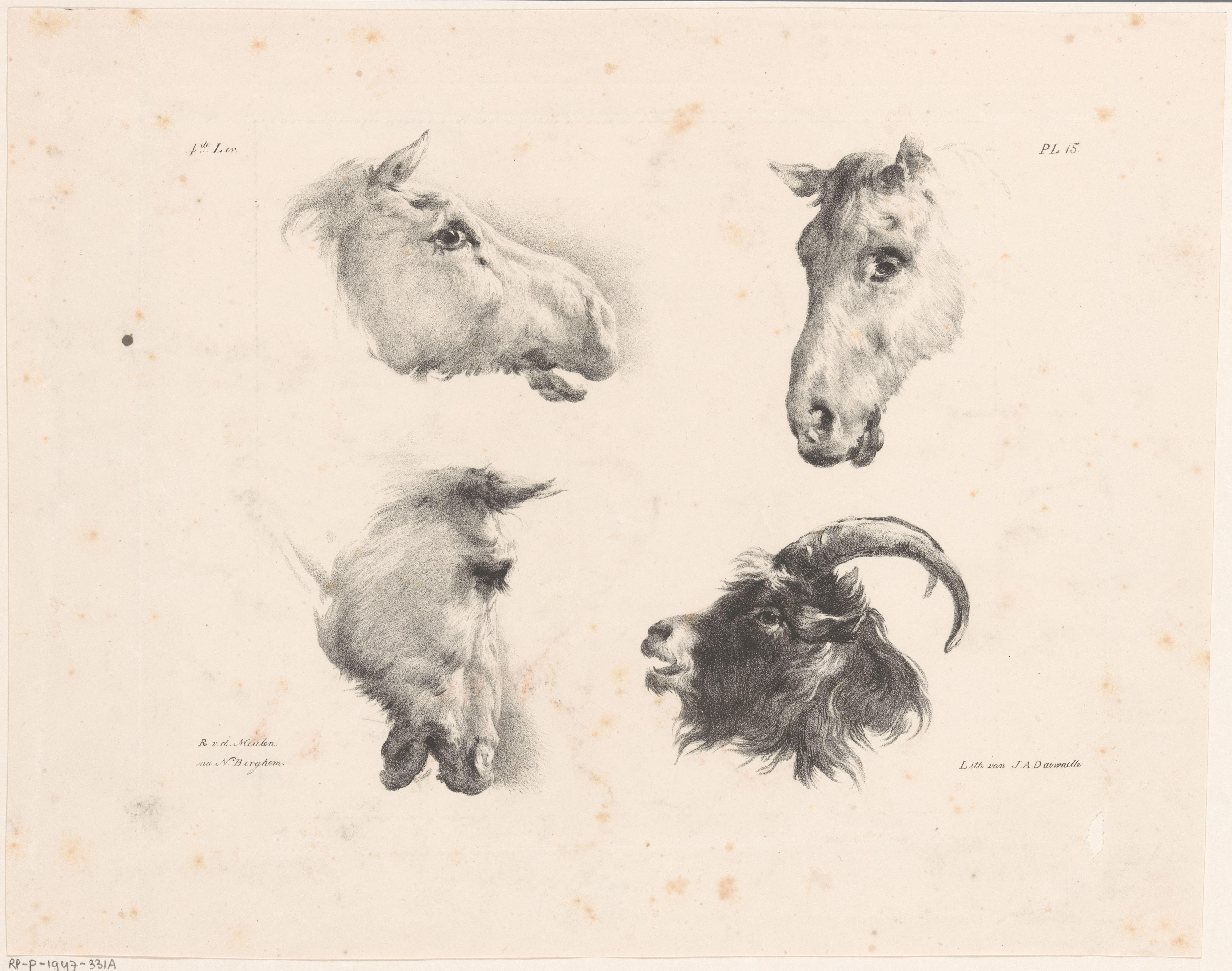 Drie paardenhoofden en een geitenkop