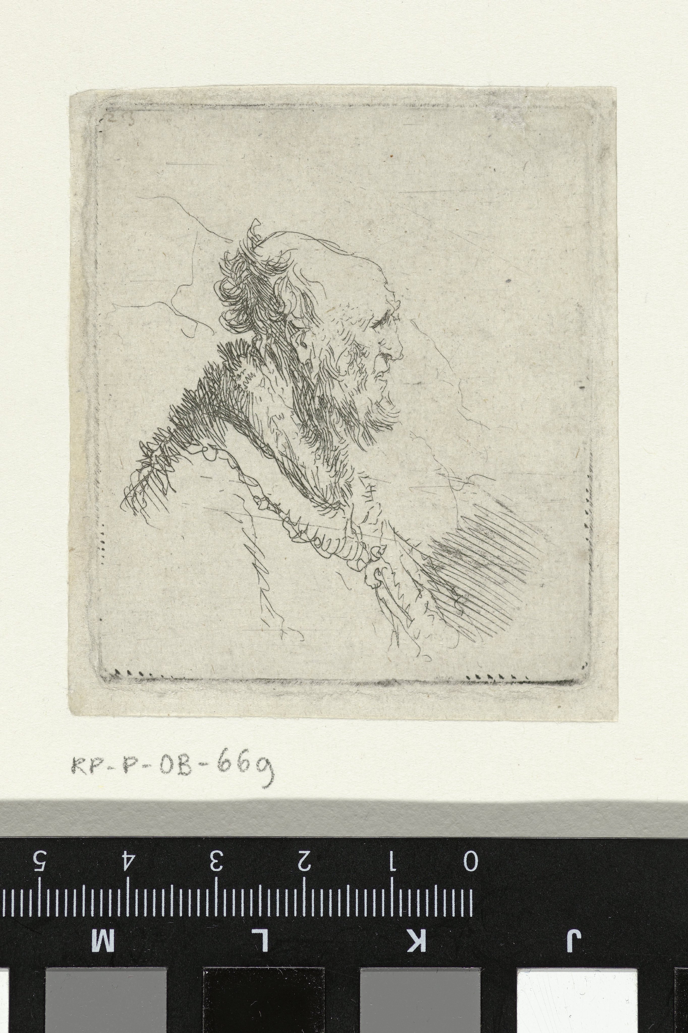 Bald old man with a short beard, in profile right