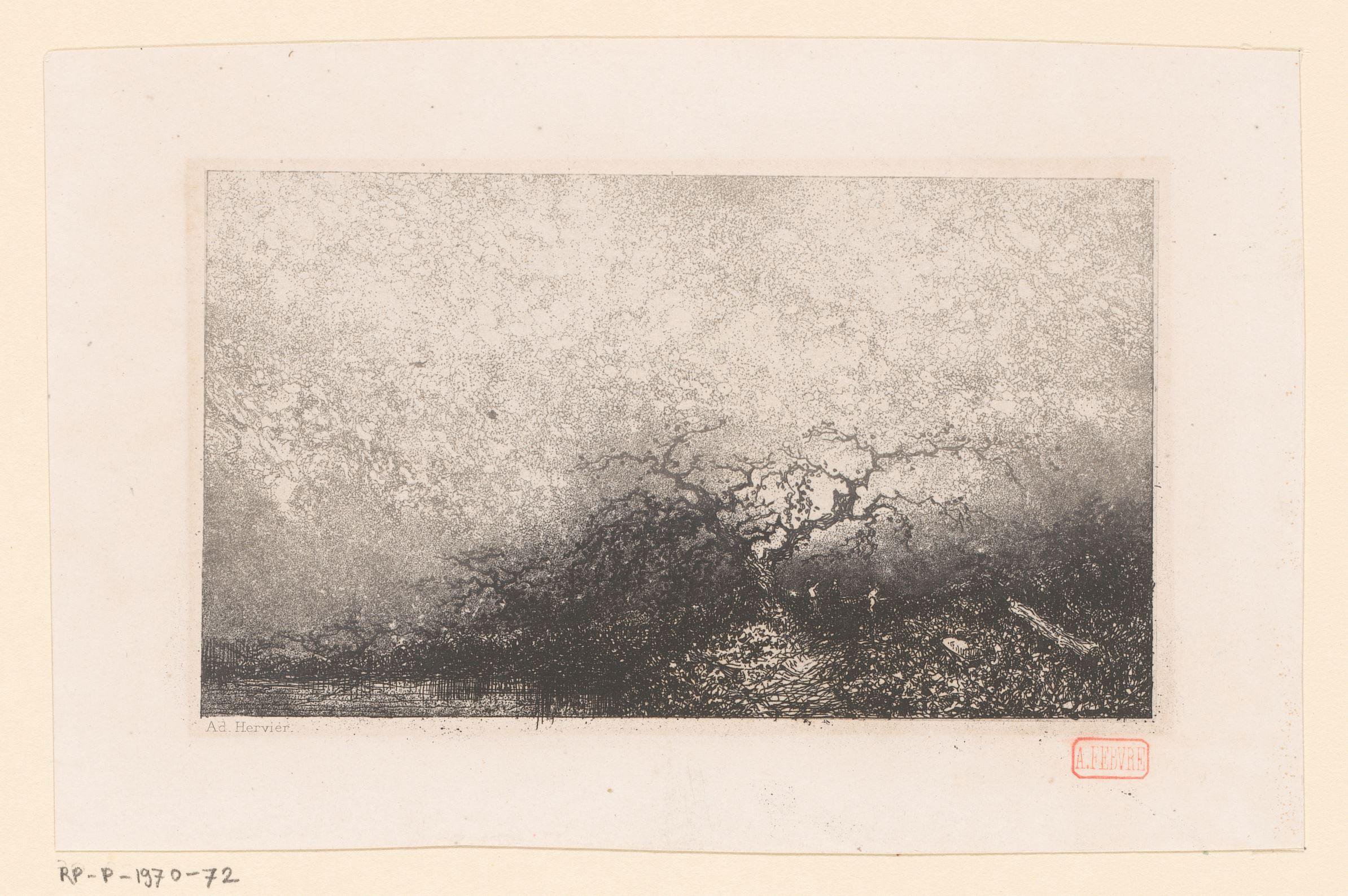 Landschap met een boom bij een poel