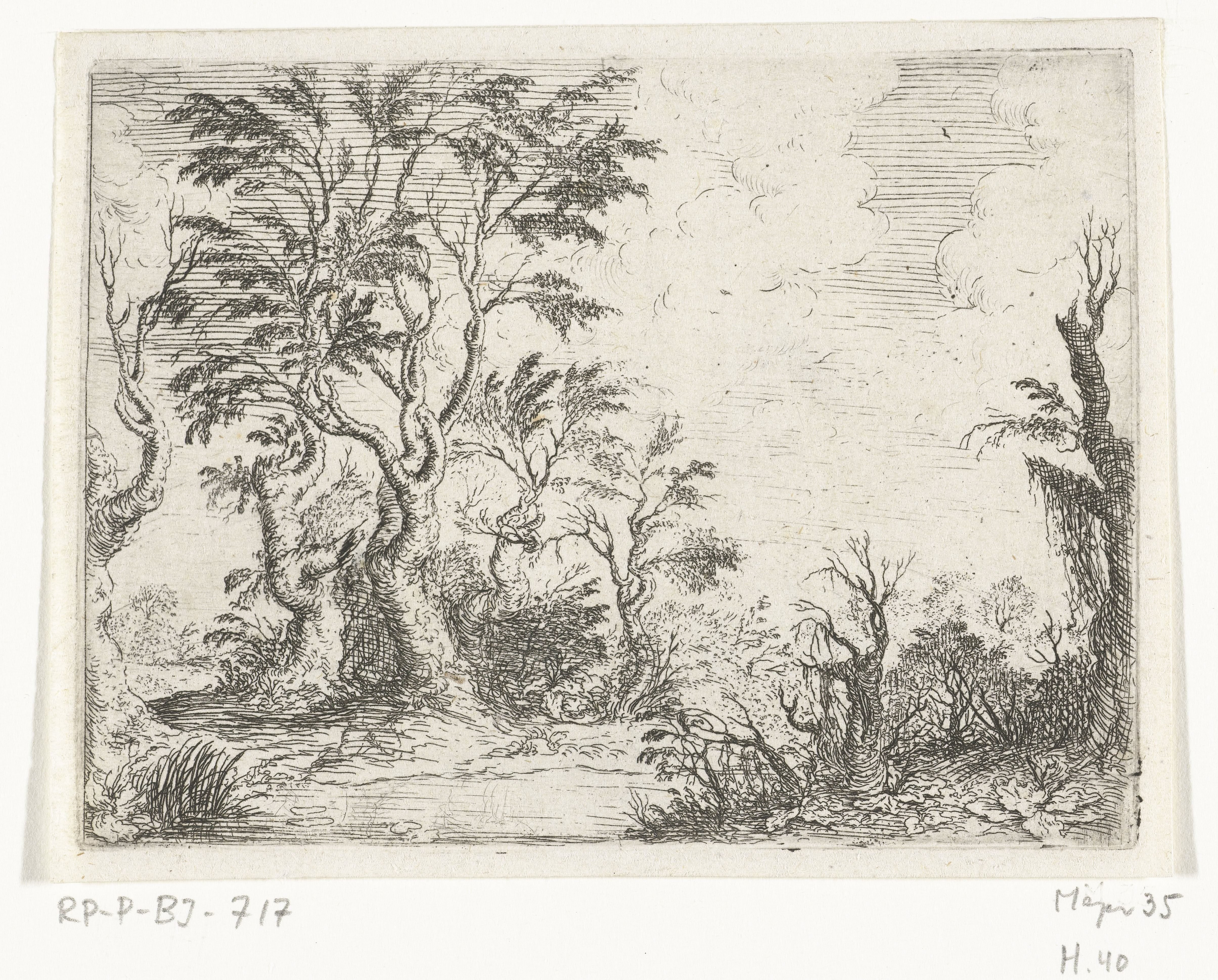 Landschap met loofbomen