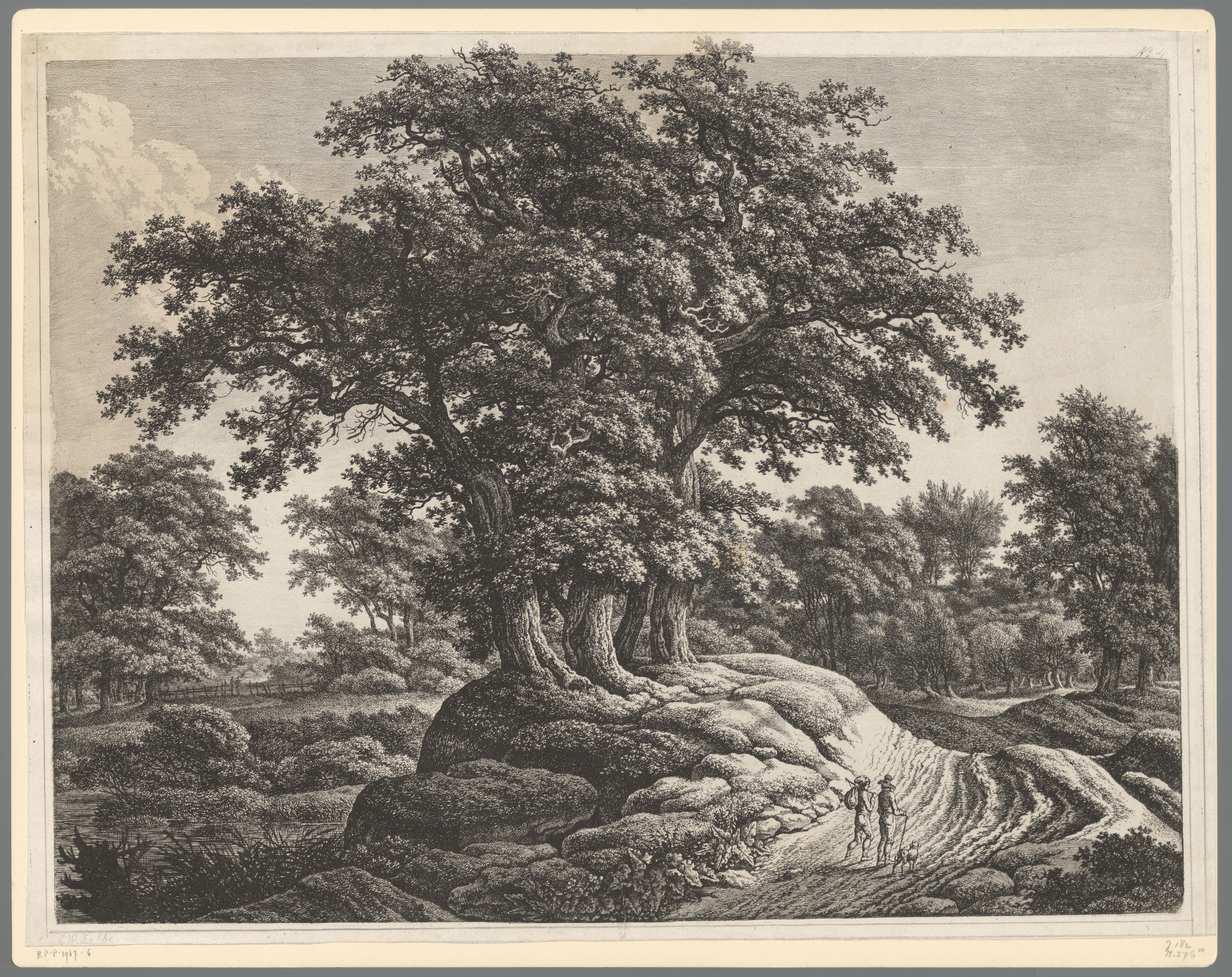 Bosrijk landschap met twee wandelaars