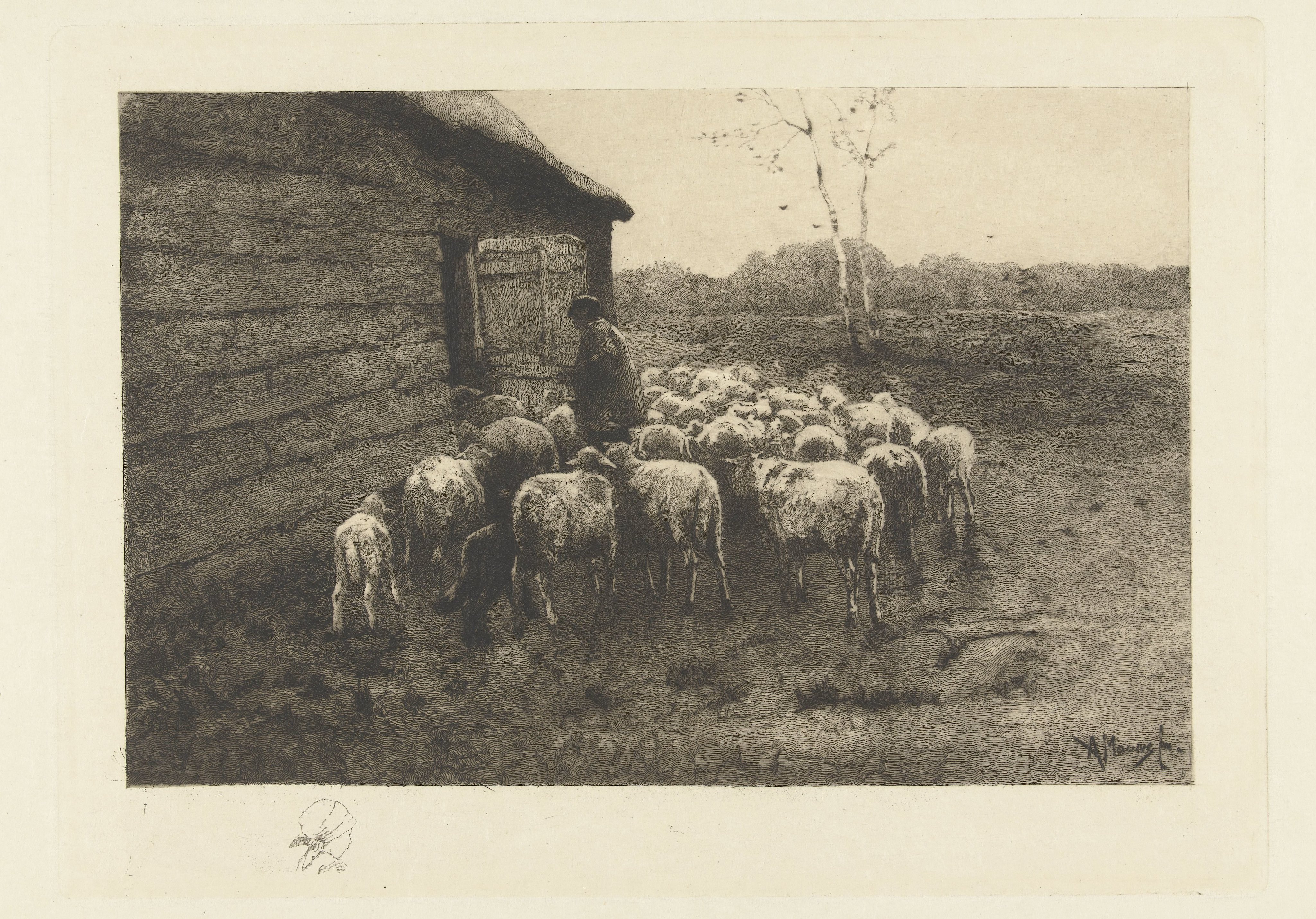 Herder met kudde schapen voor de stal