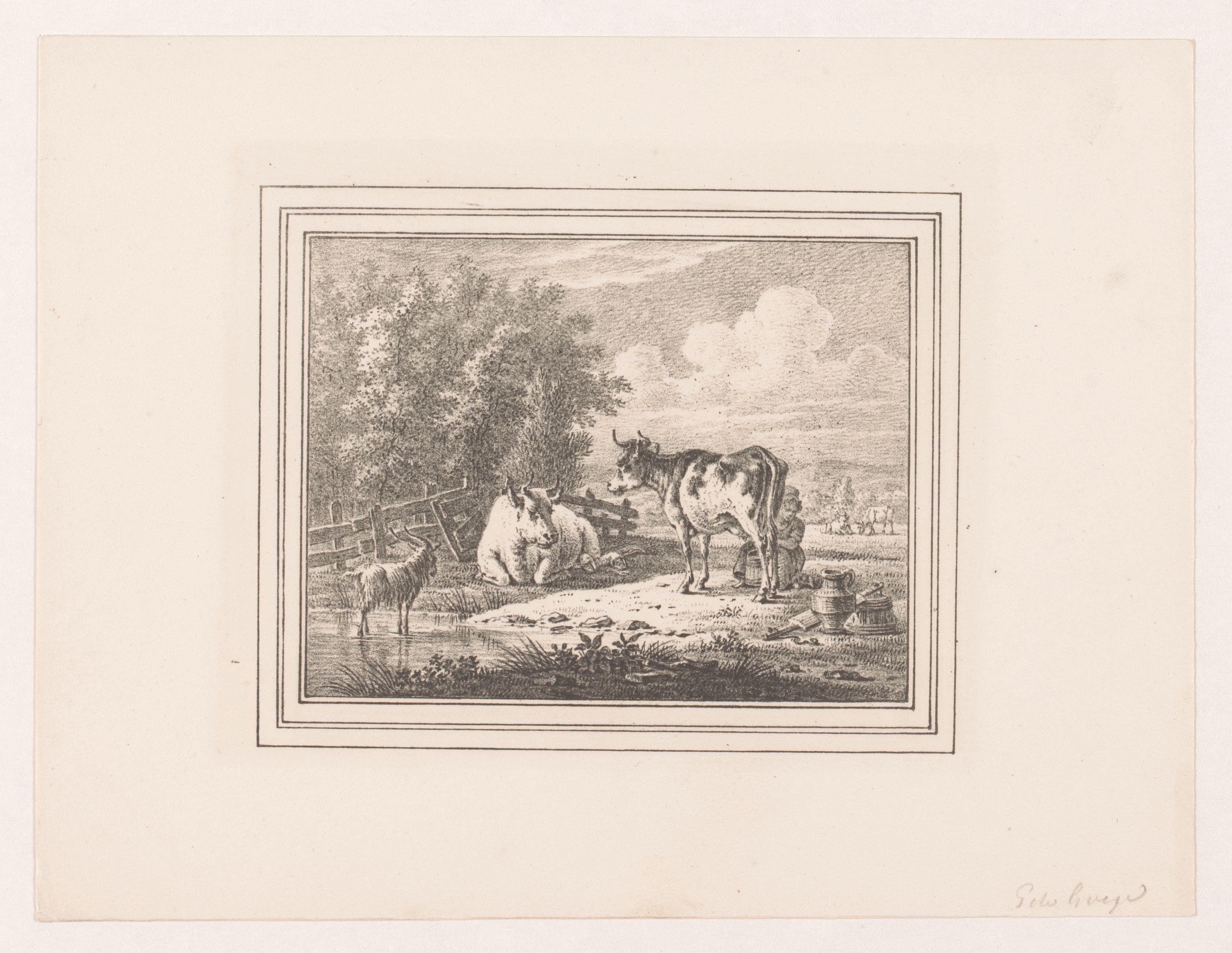 Koe wordt gemolken in een landschap