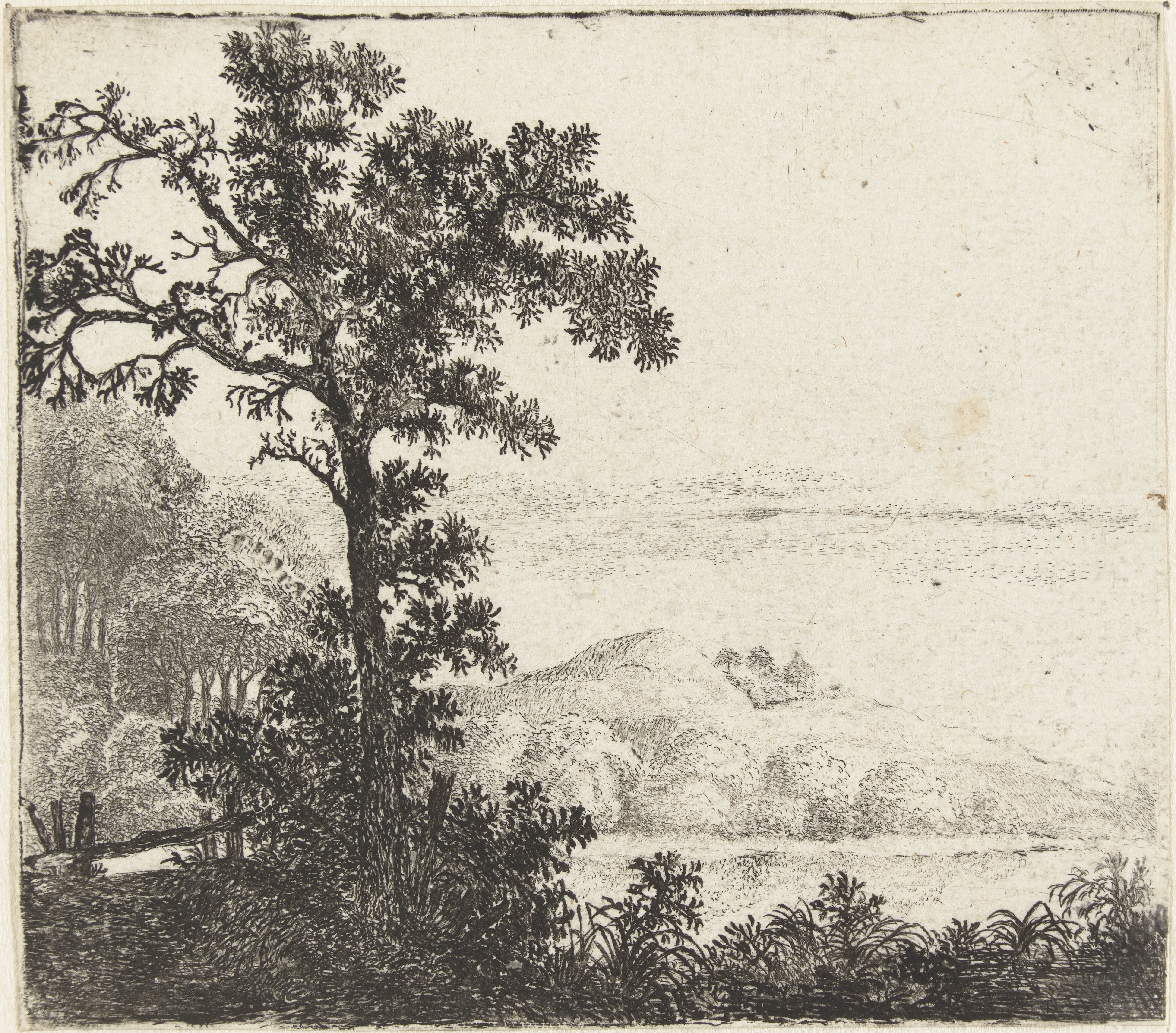 Landschap met boom bij een rivieroever