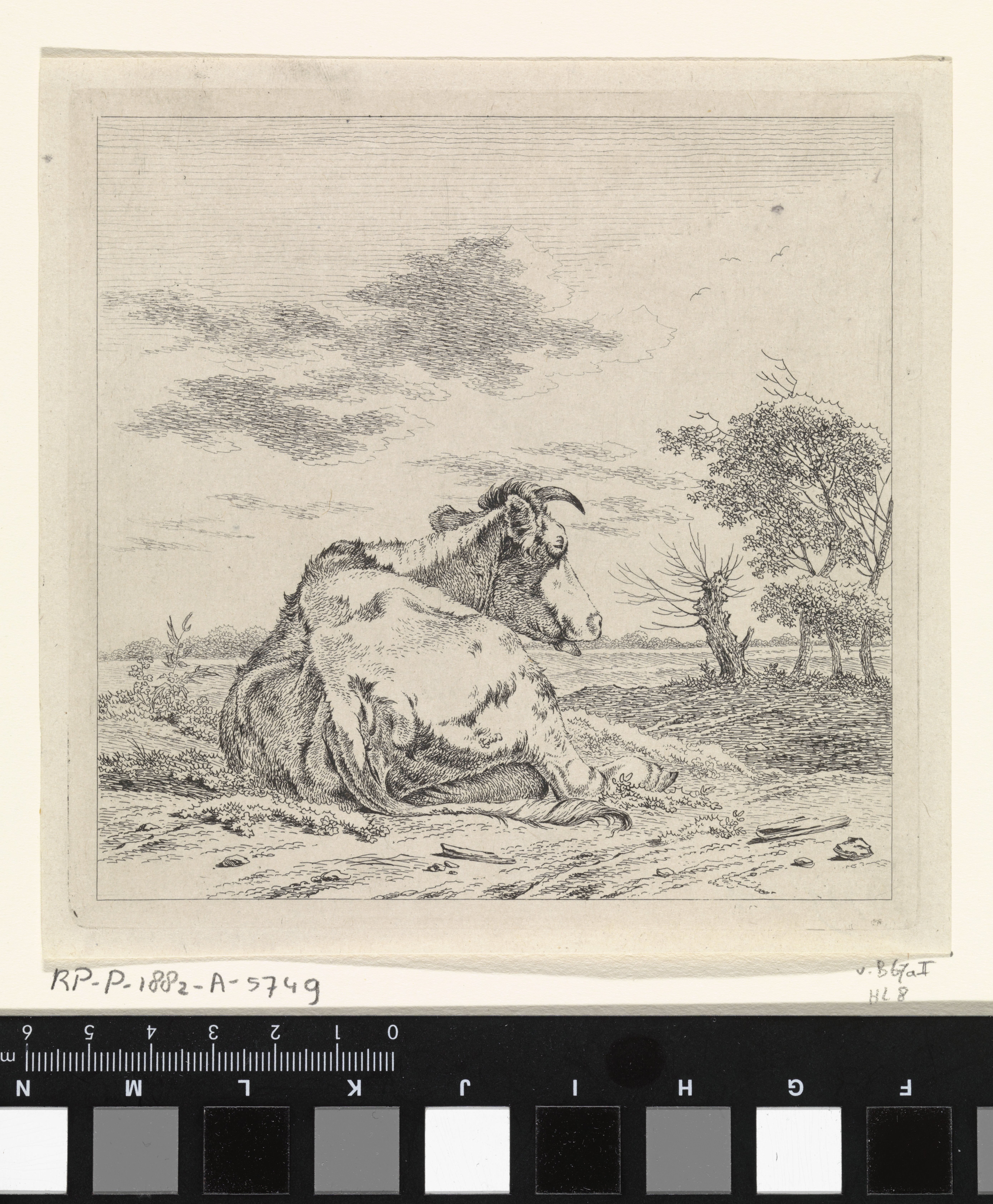 Landschap met liggende koe