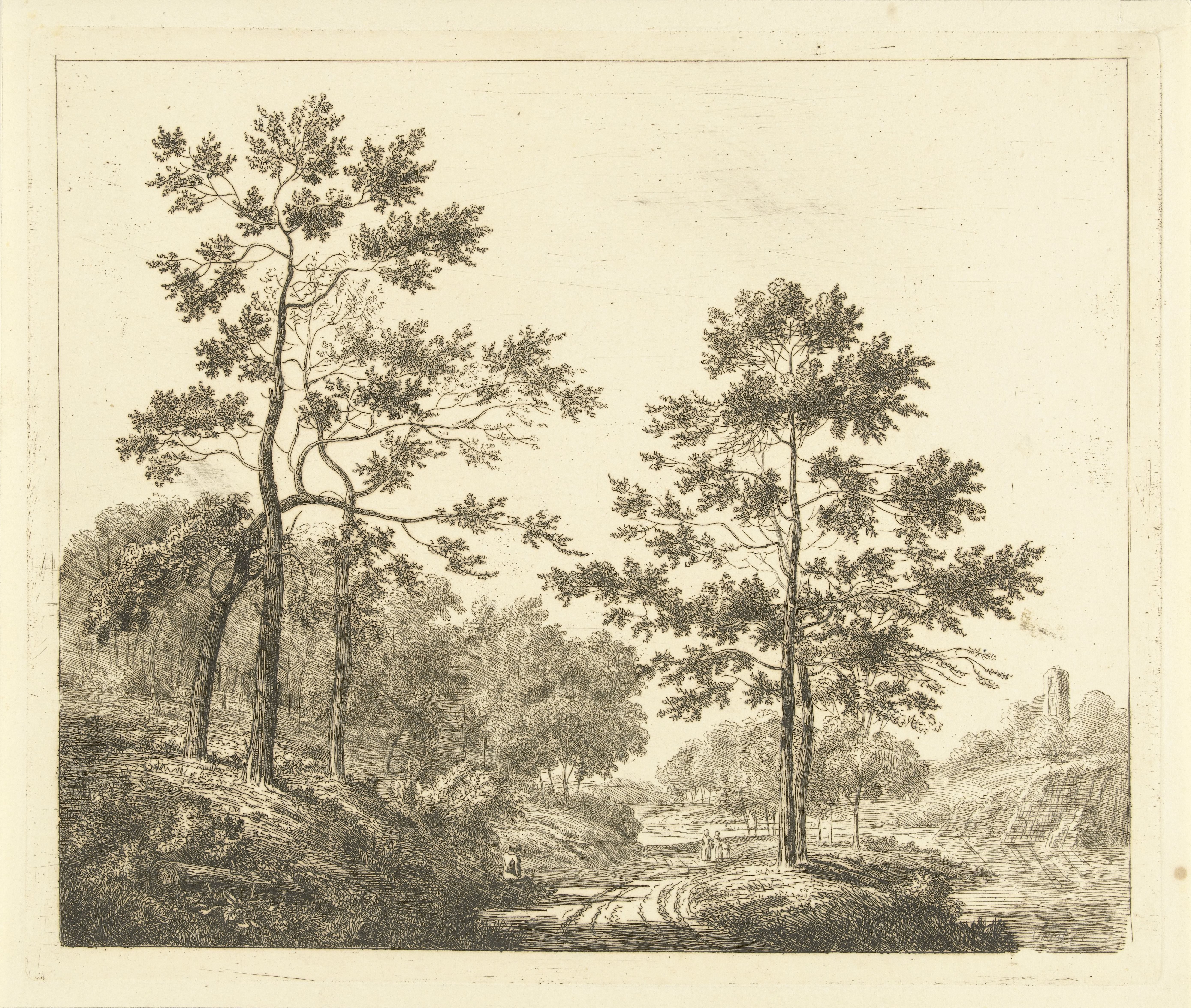 Bospad in heuvelachtig landschap