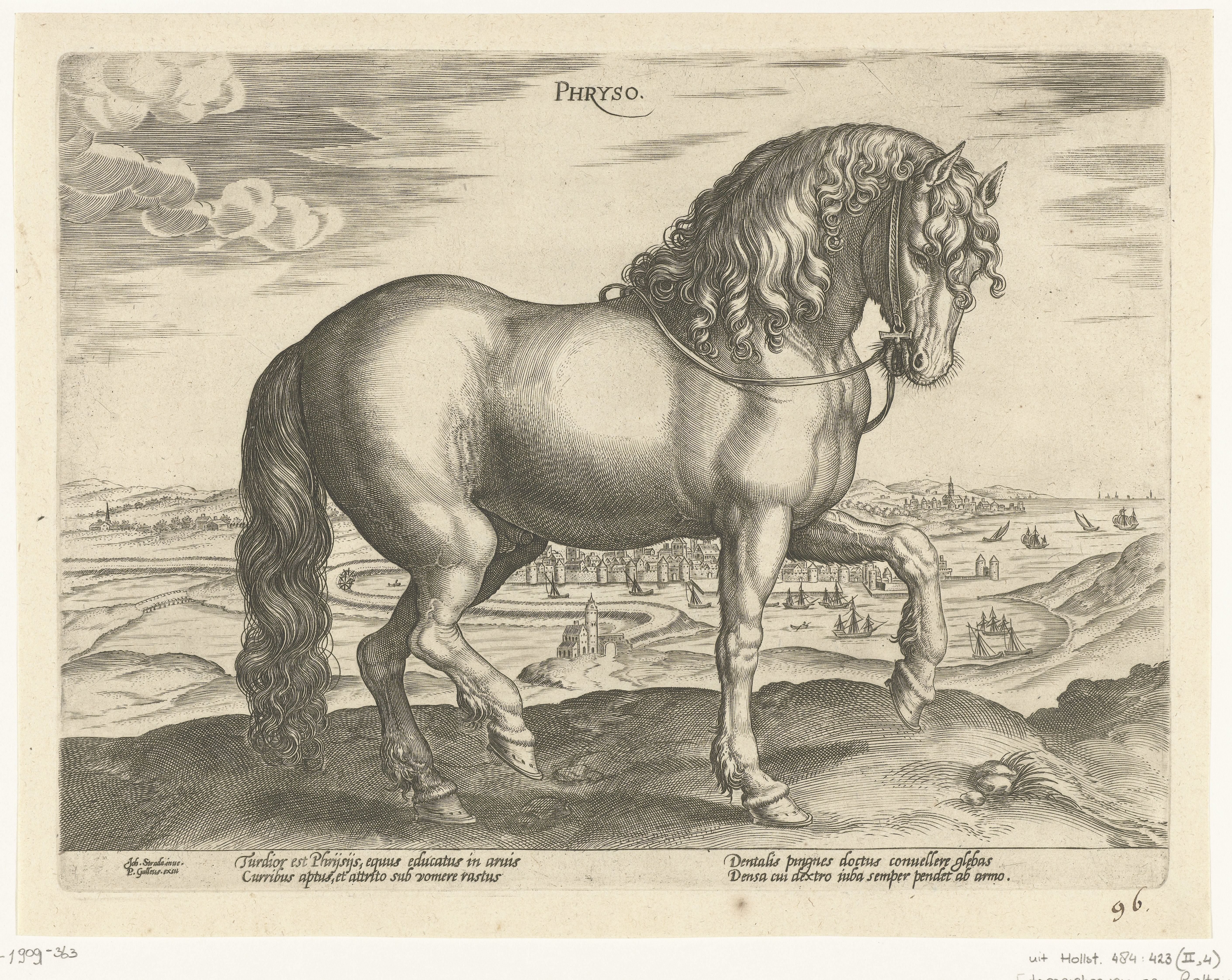 Paard uit Friesland